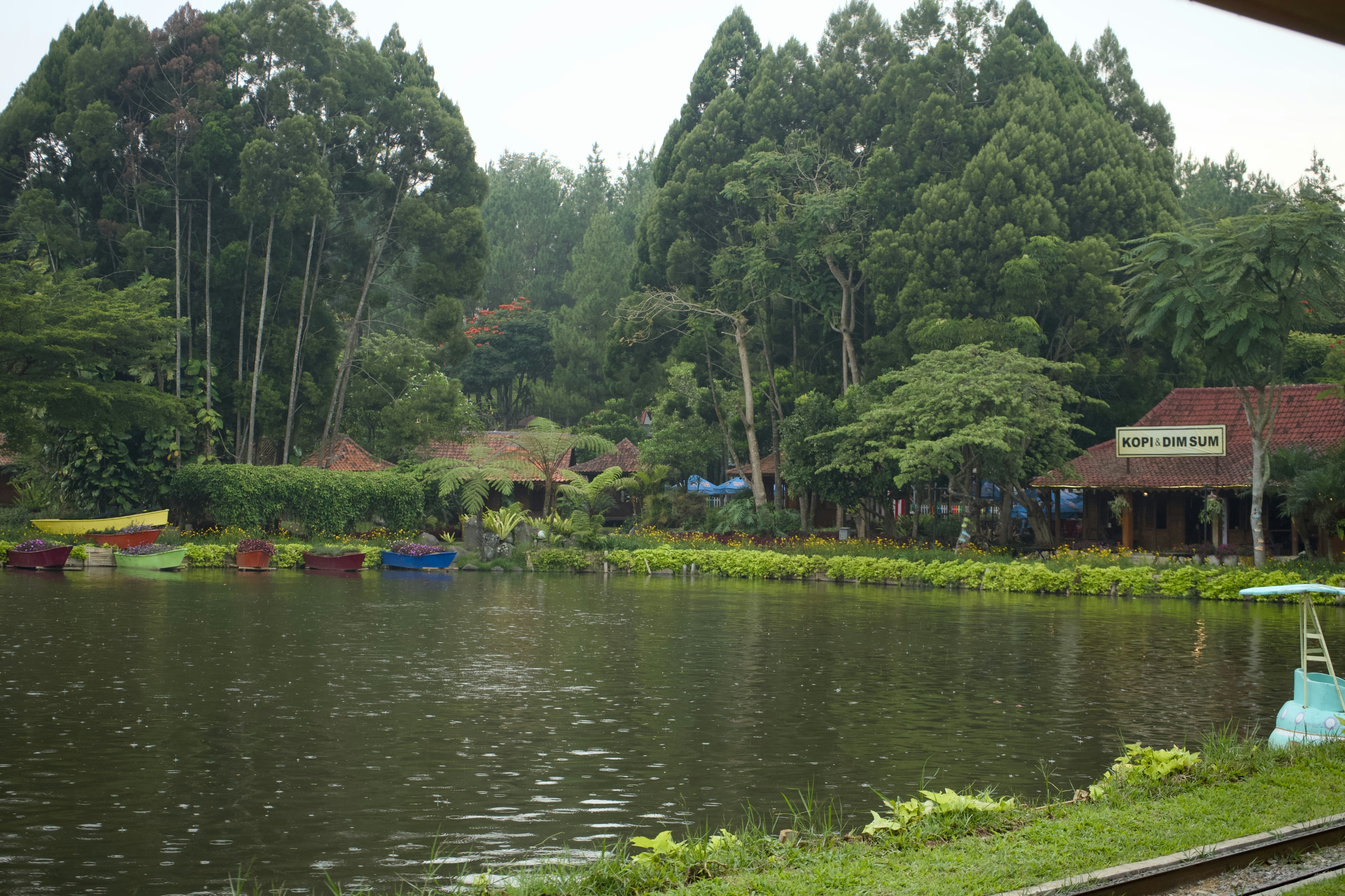 Photo by divarakasiwi