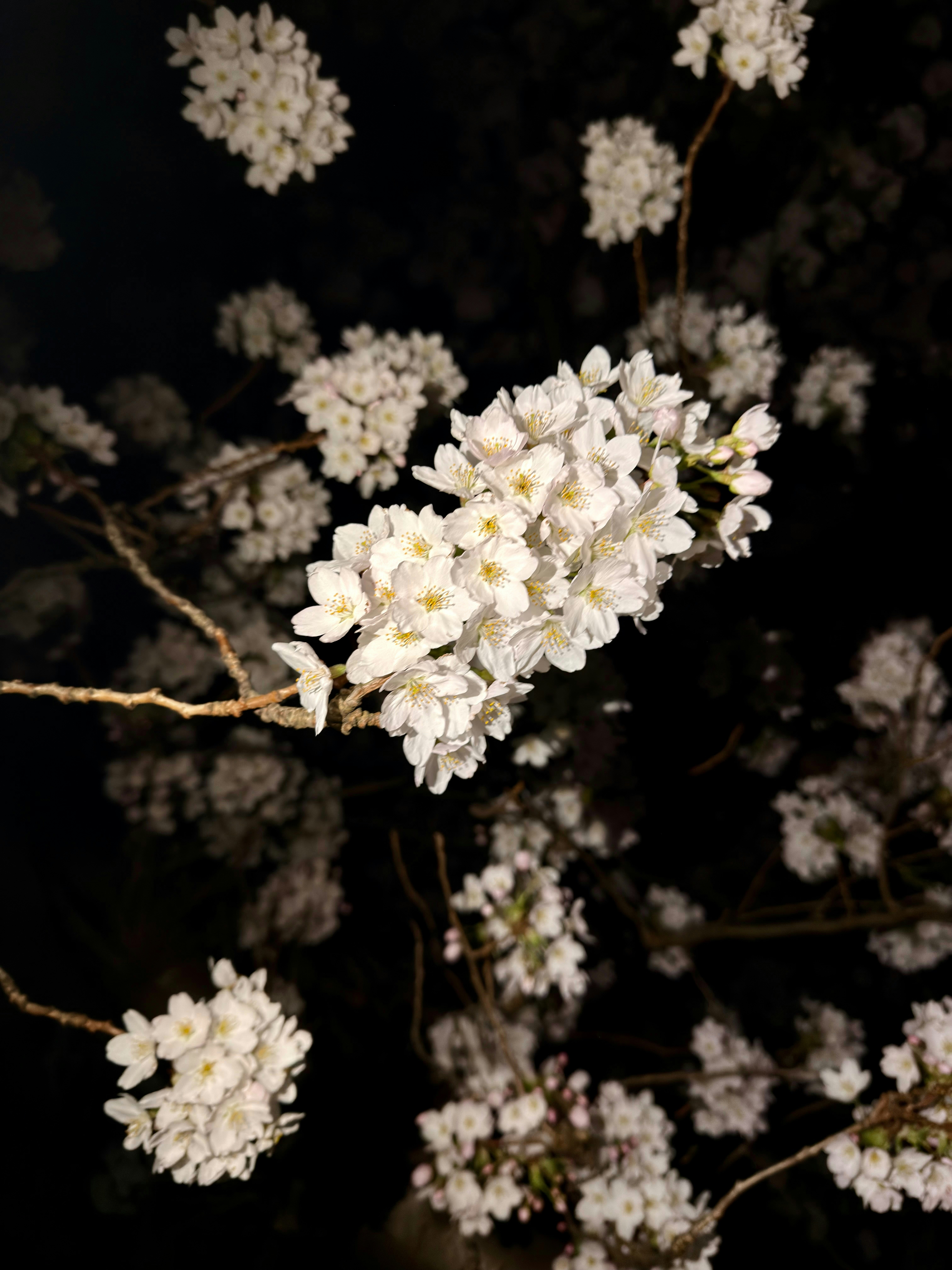 Photo by raymatthewx