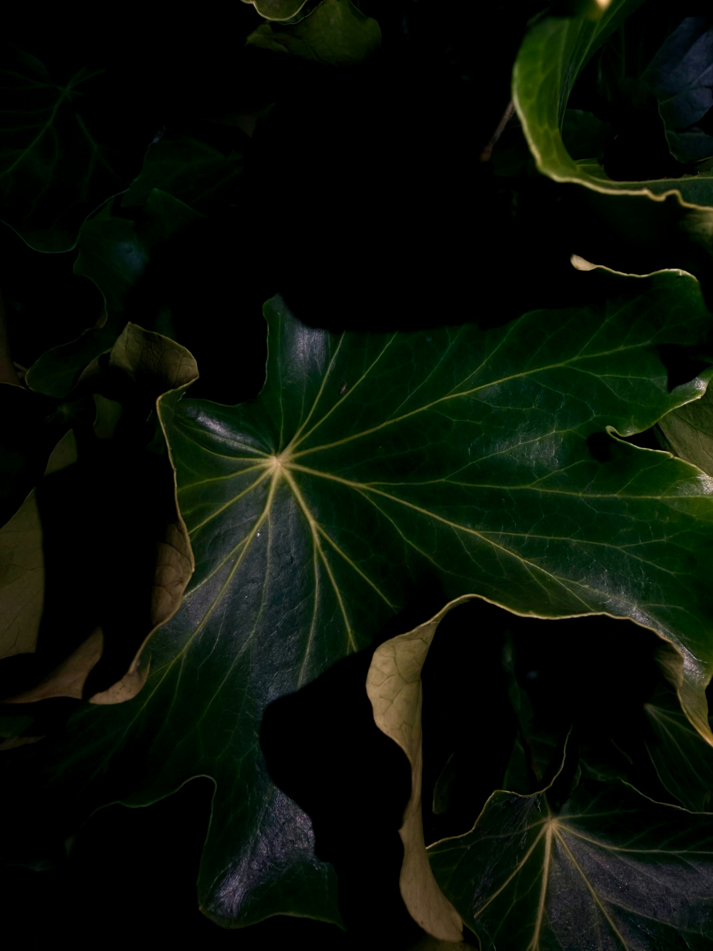 Photo by raymatthewx