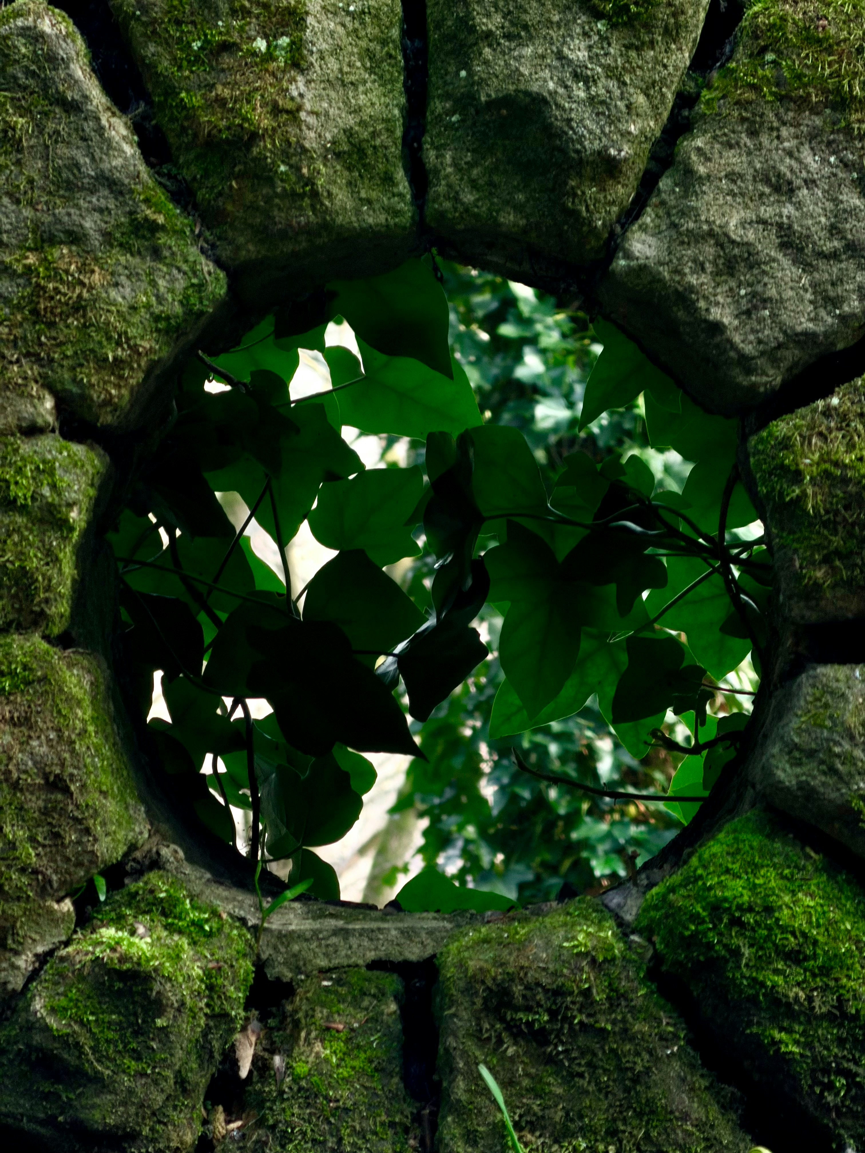 Photo by raymatthewx