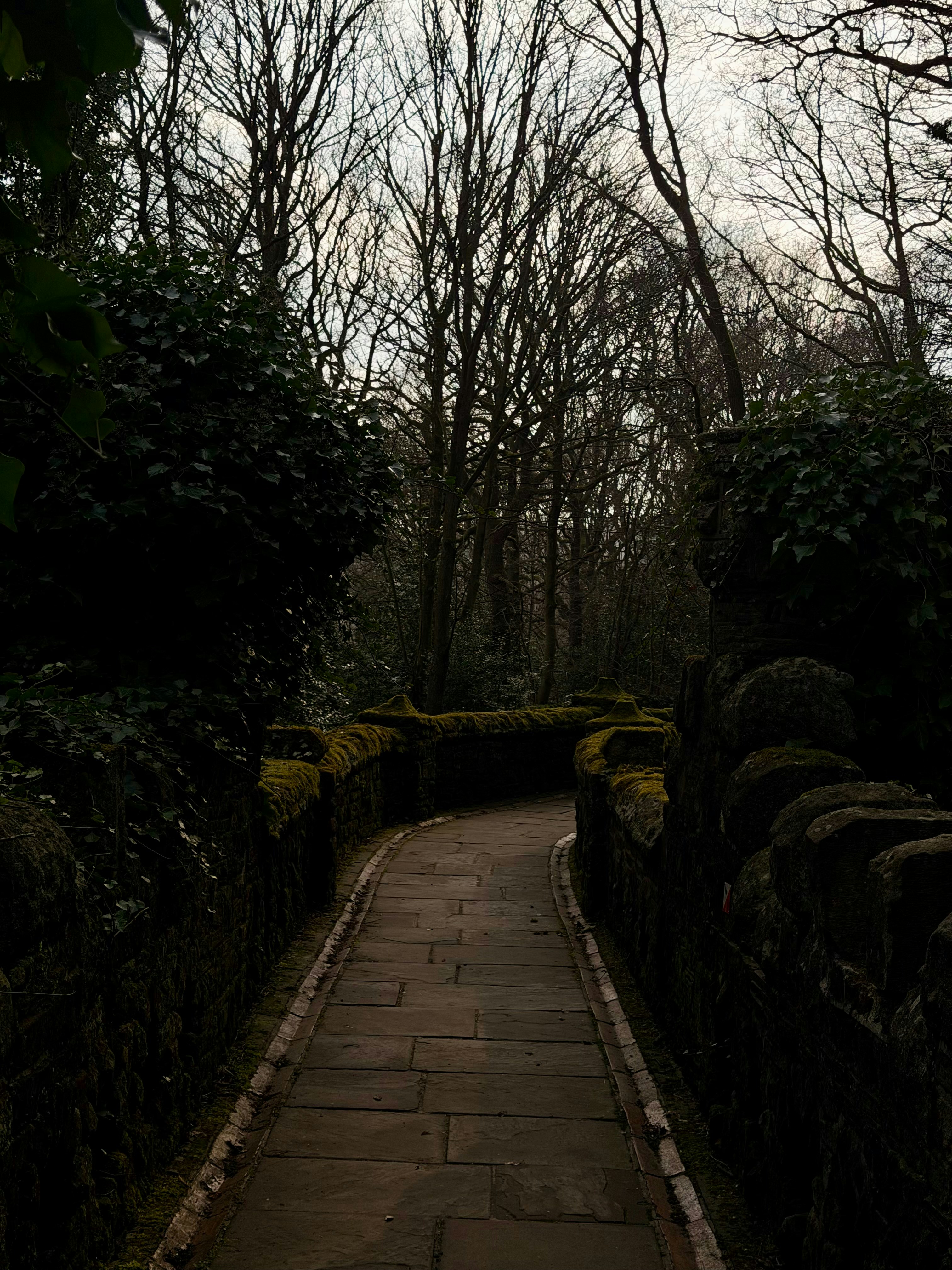 Photo by raymatthewx