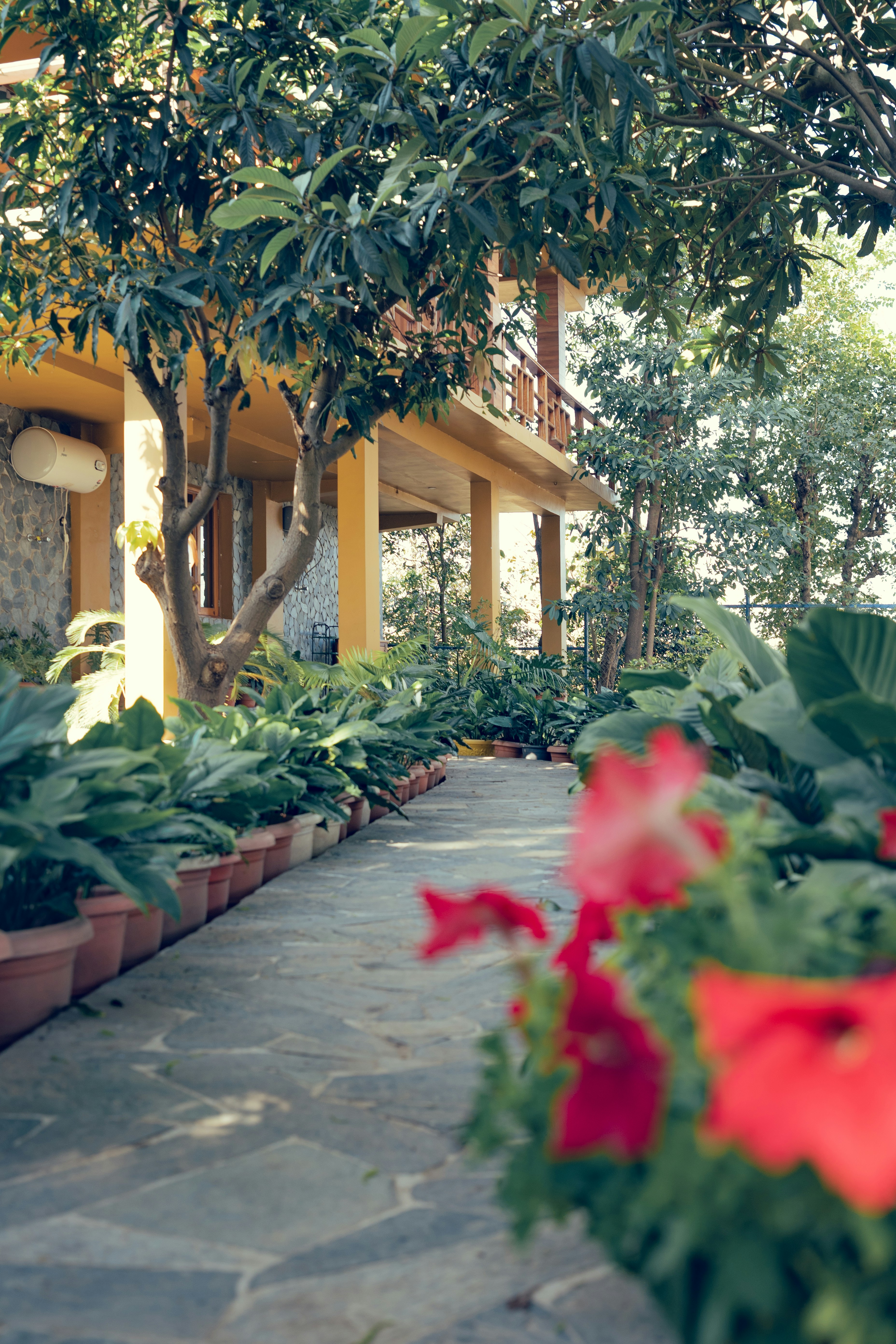 Photo by dhandavishal