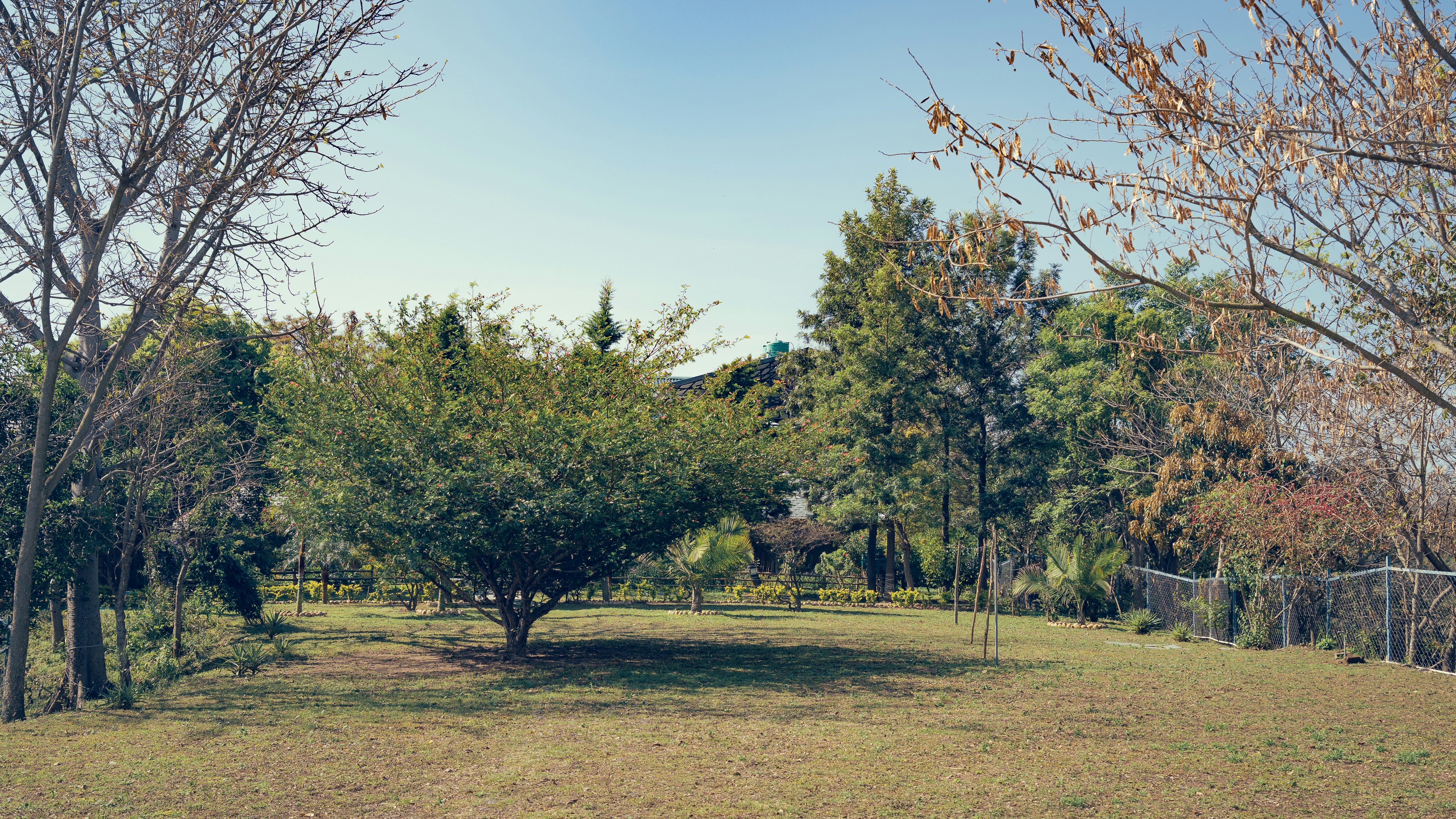 Photo by dhandavishal