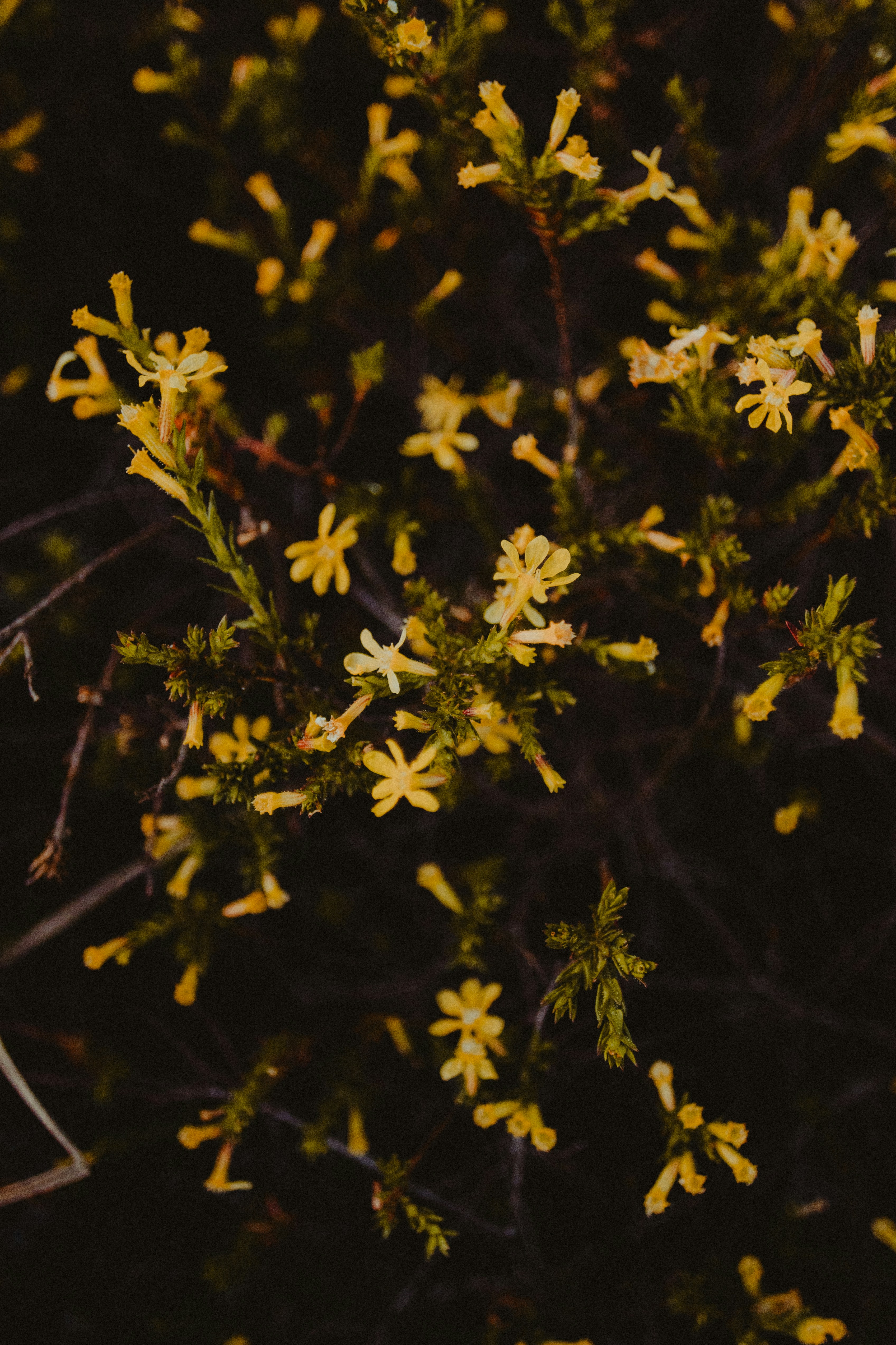 Photo by jonathanborba