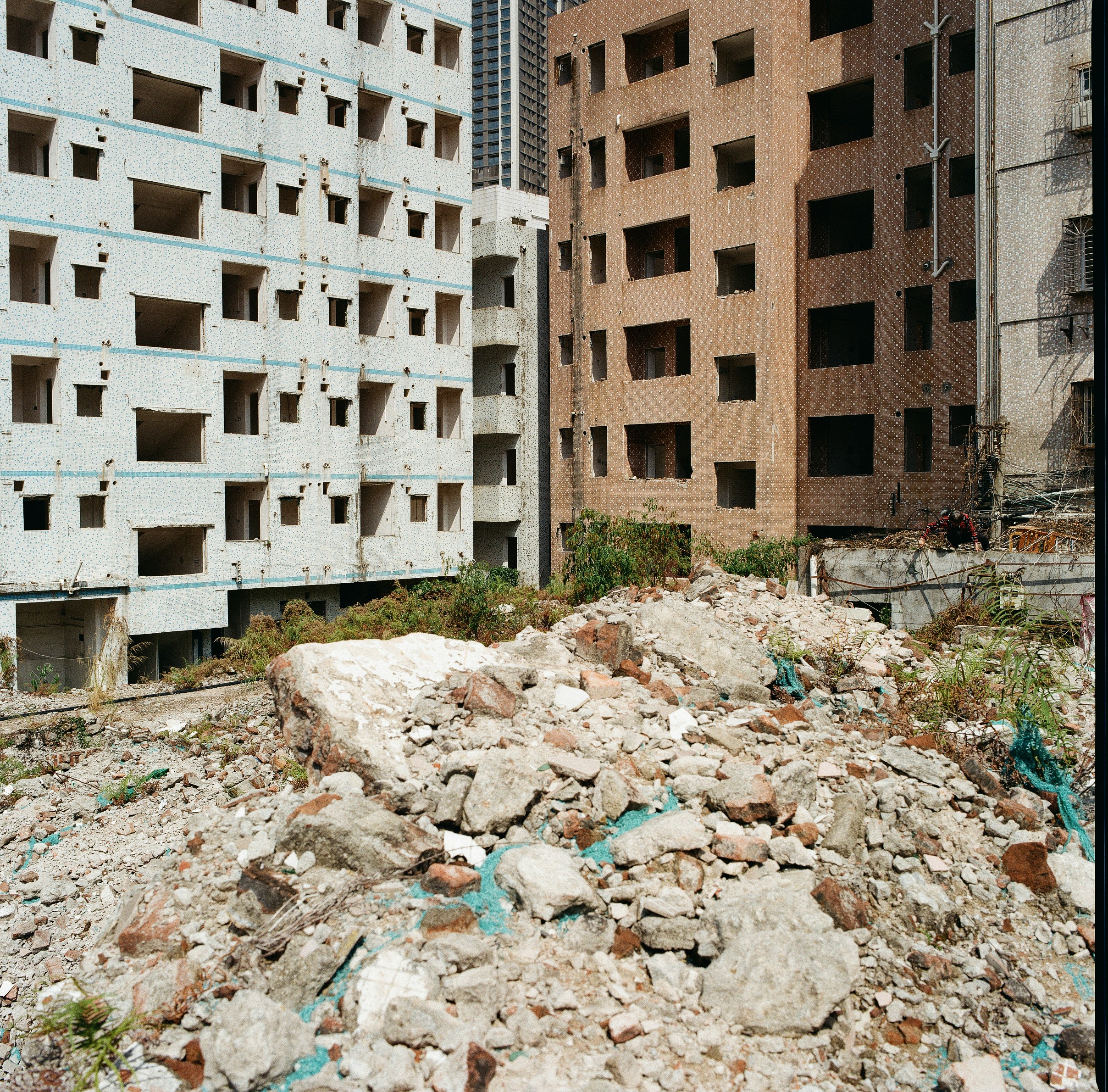 Photo by blackbird_ii