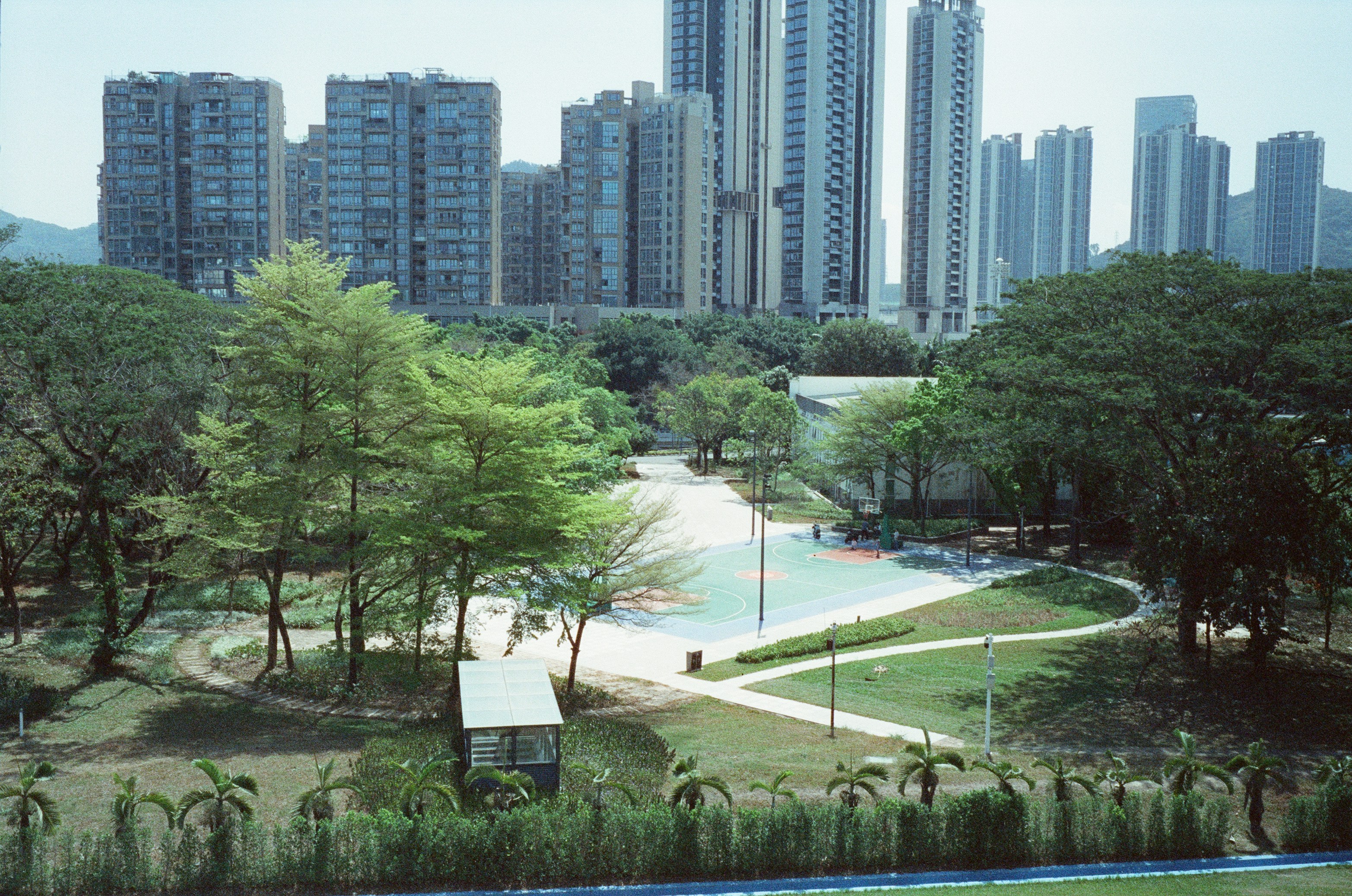 A park with trees and buildings in the background.