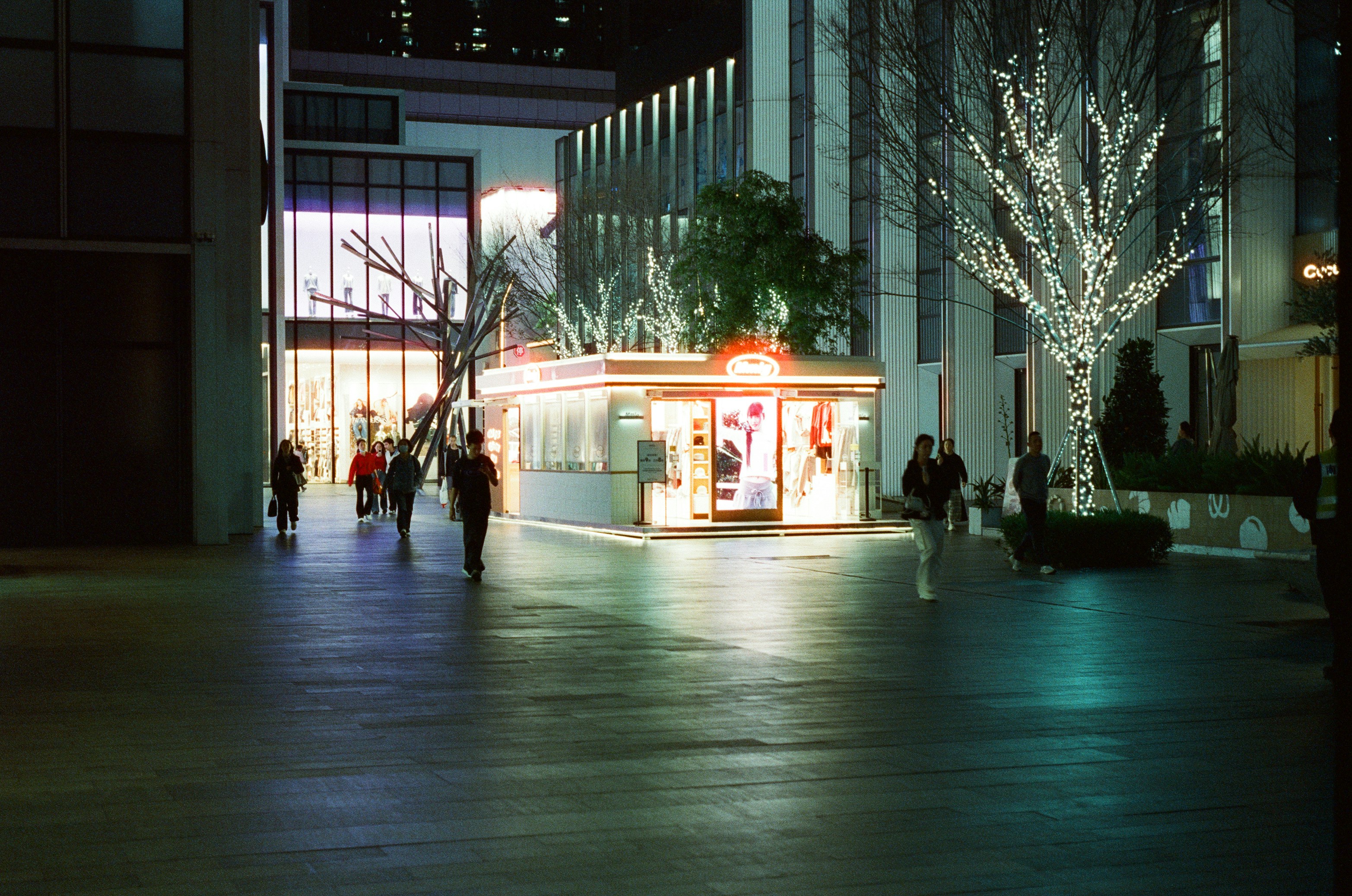 Photo by blackbird_ii