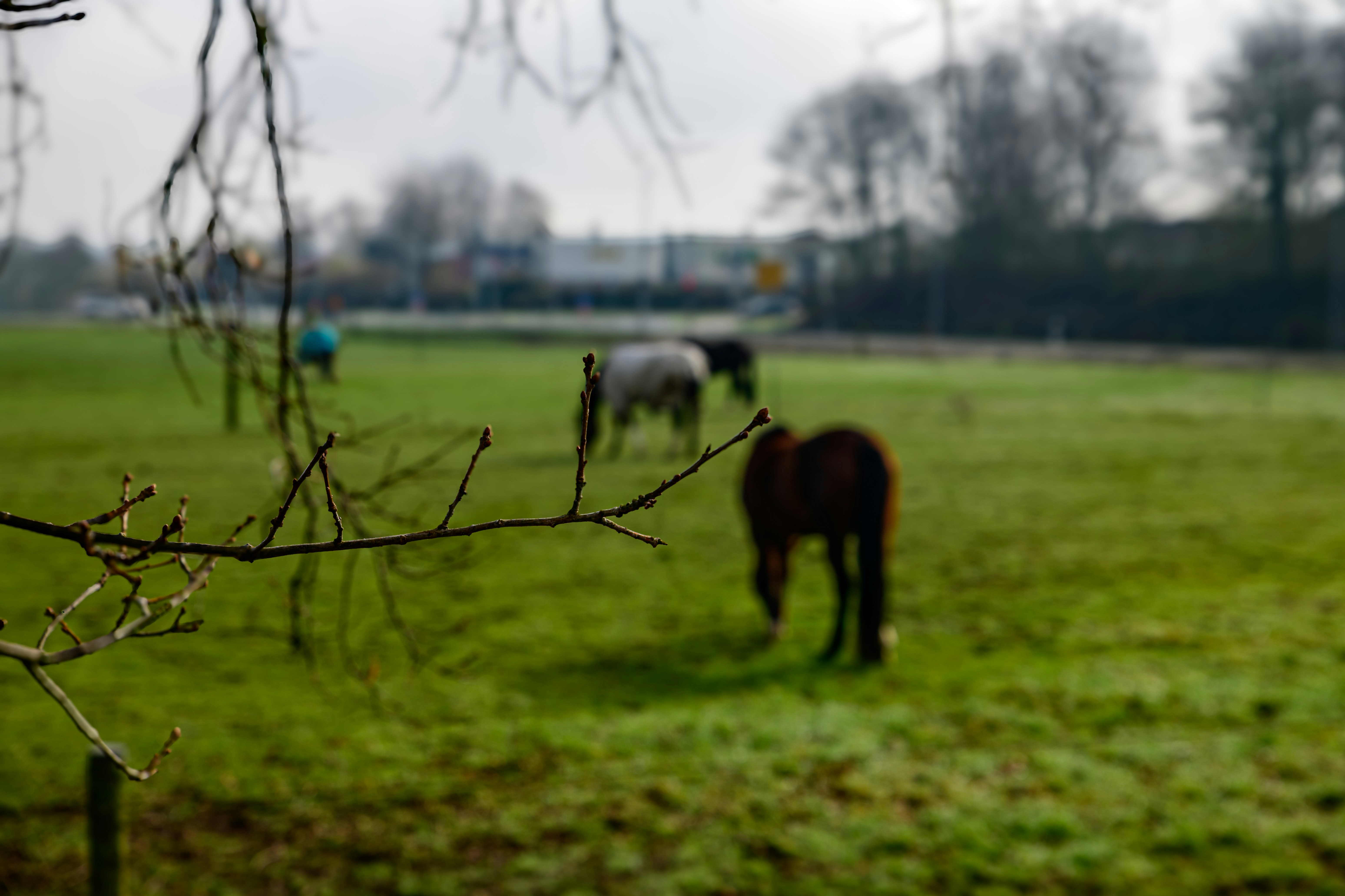 Photo by skstrannik