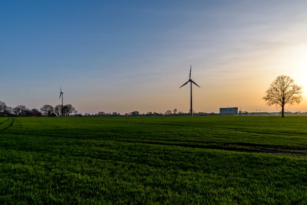 Turbiny wiatrowe na zielonym polu