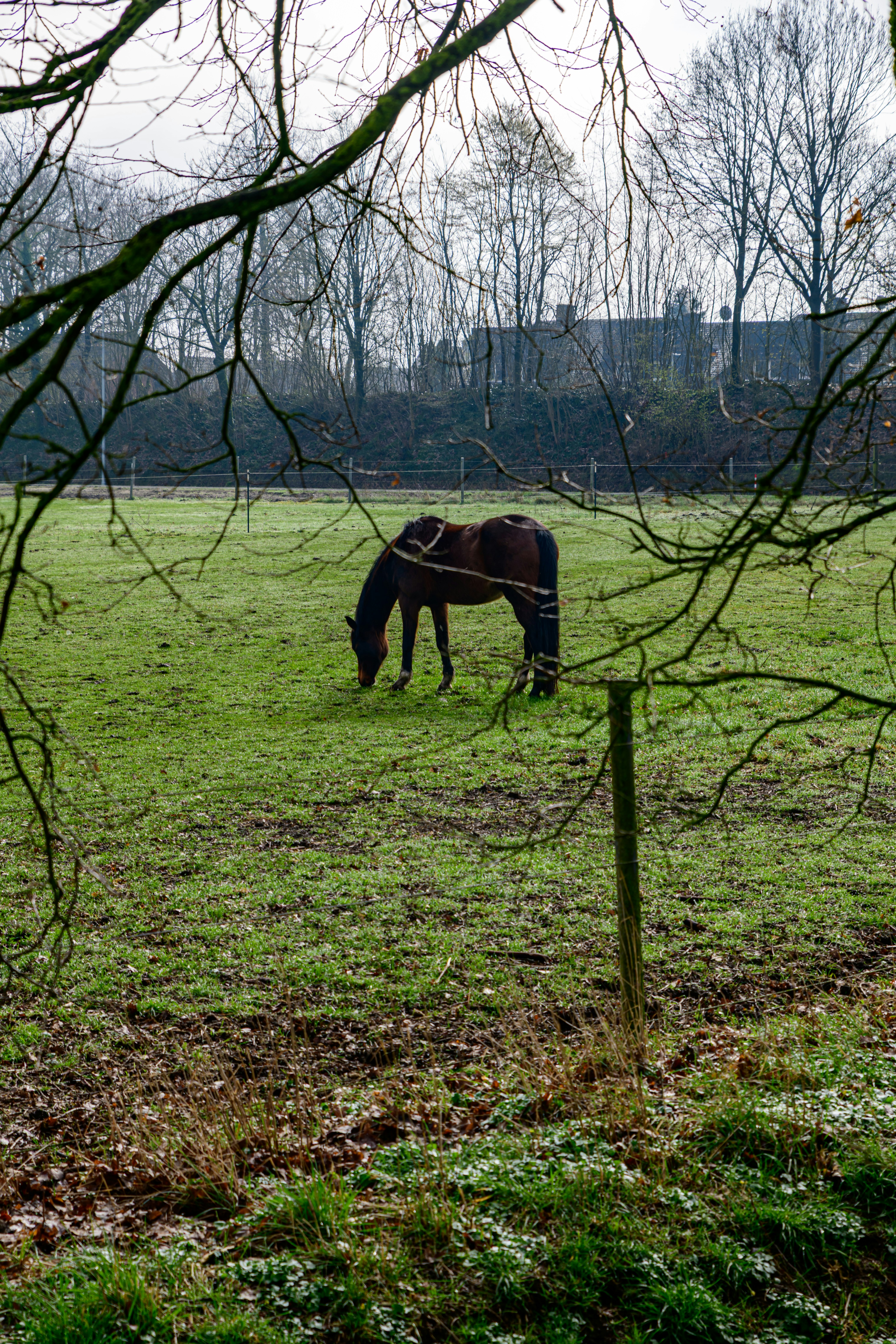Photo by skstrannik