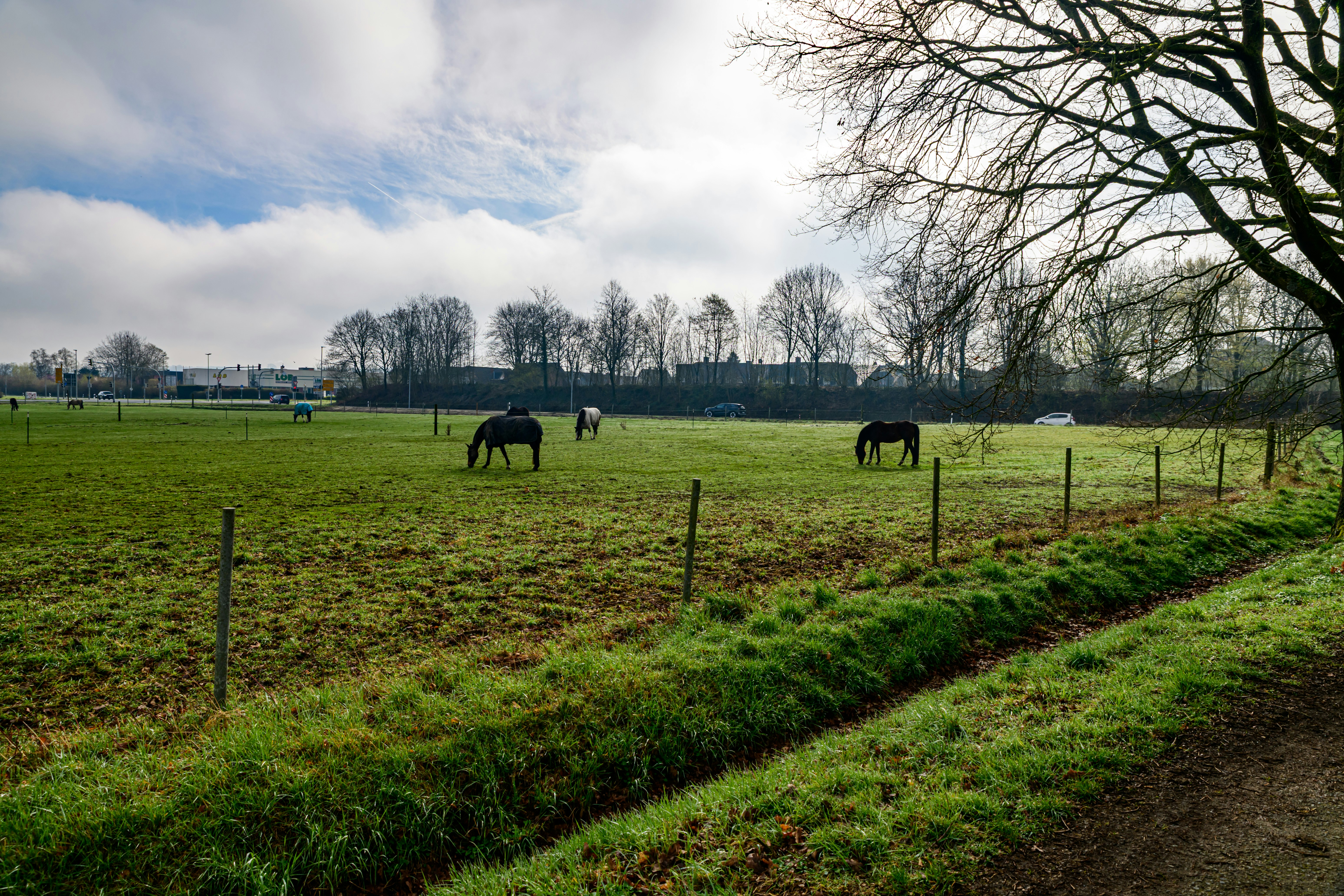 Photo by skstrannik