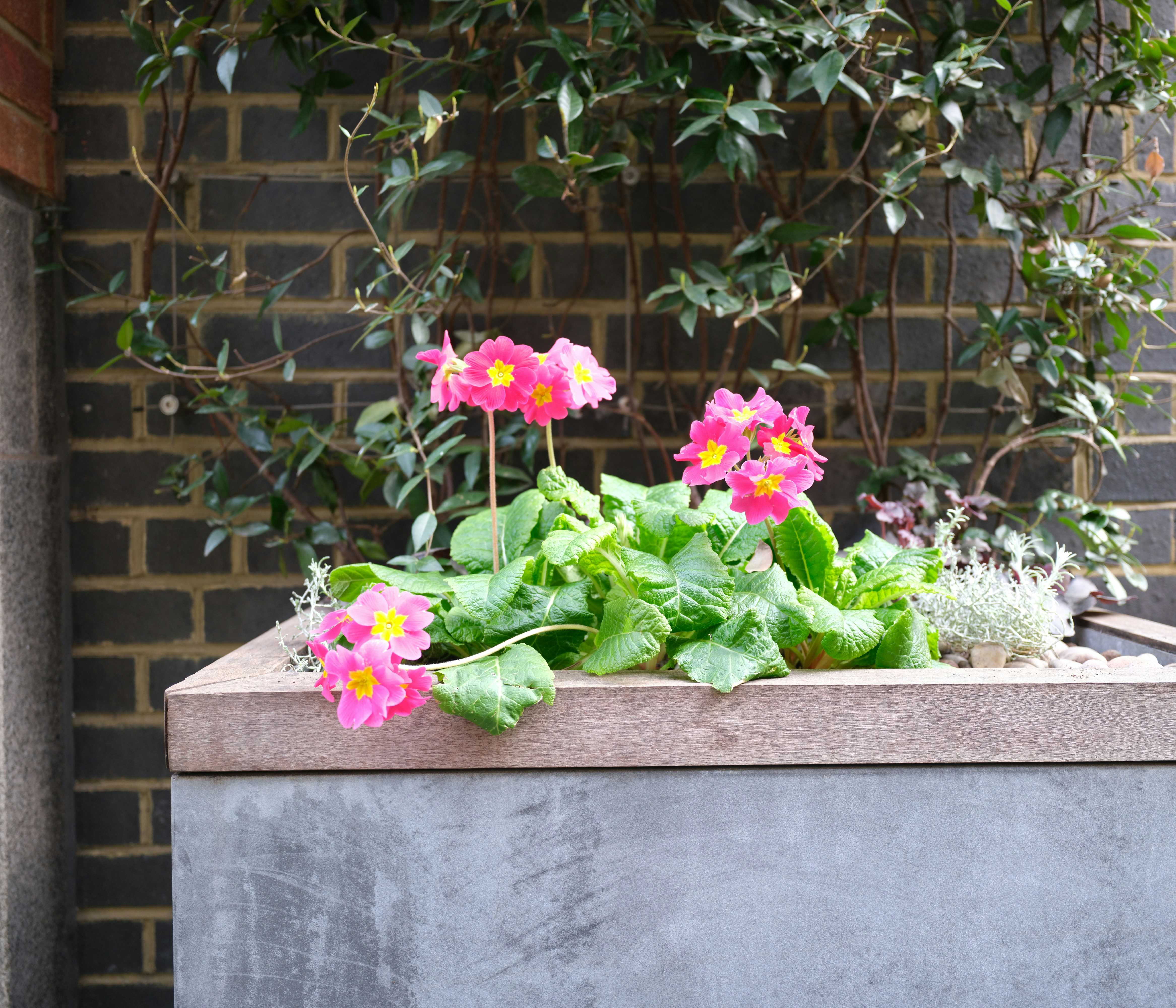 Photo by tanyabarrow