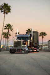 A custom semi-truck parked near palm trees at sunset.
