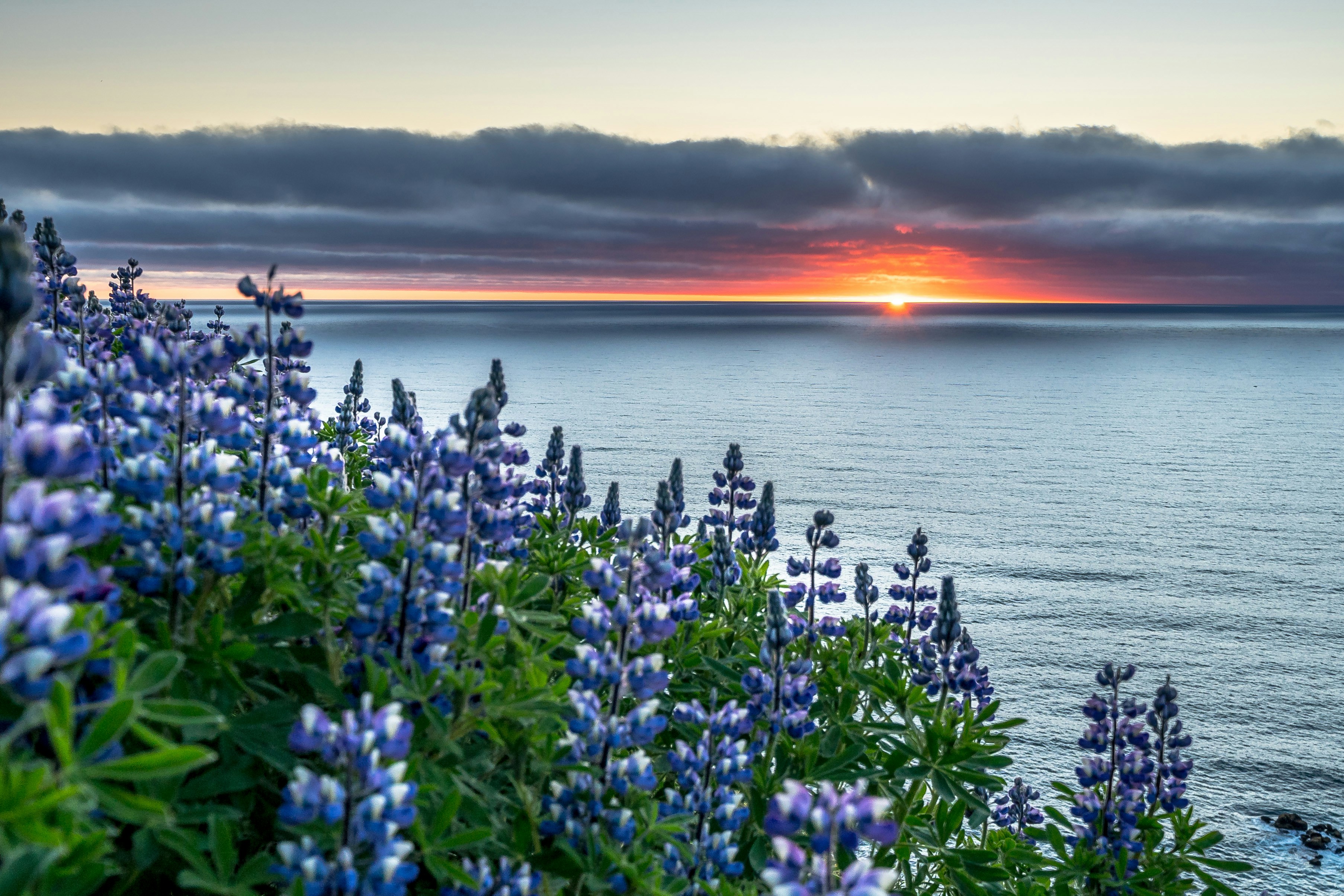 What Does the First Midnight Sun Actually Look Like? - midnight sun Tromsø Norway
