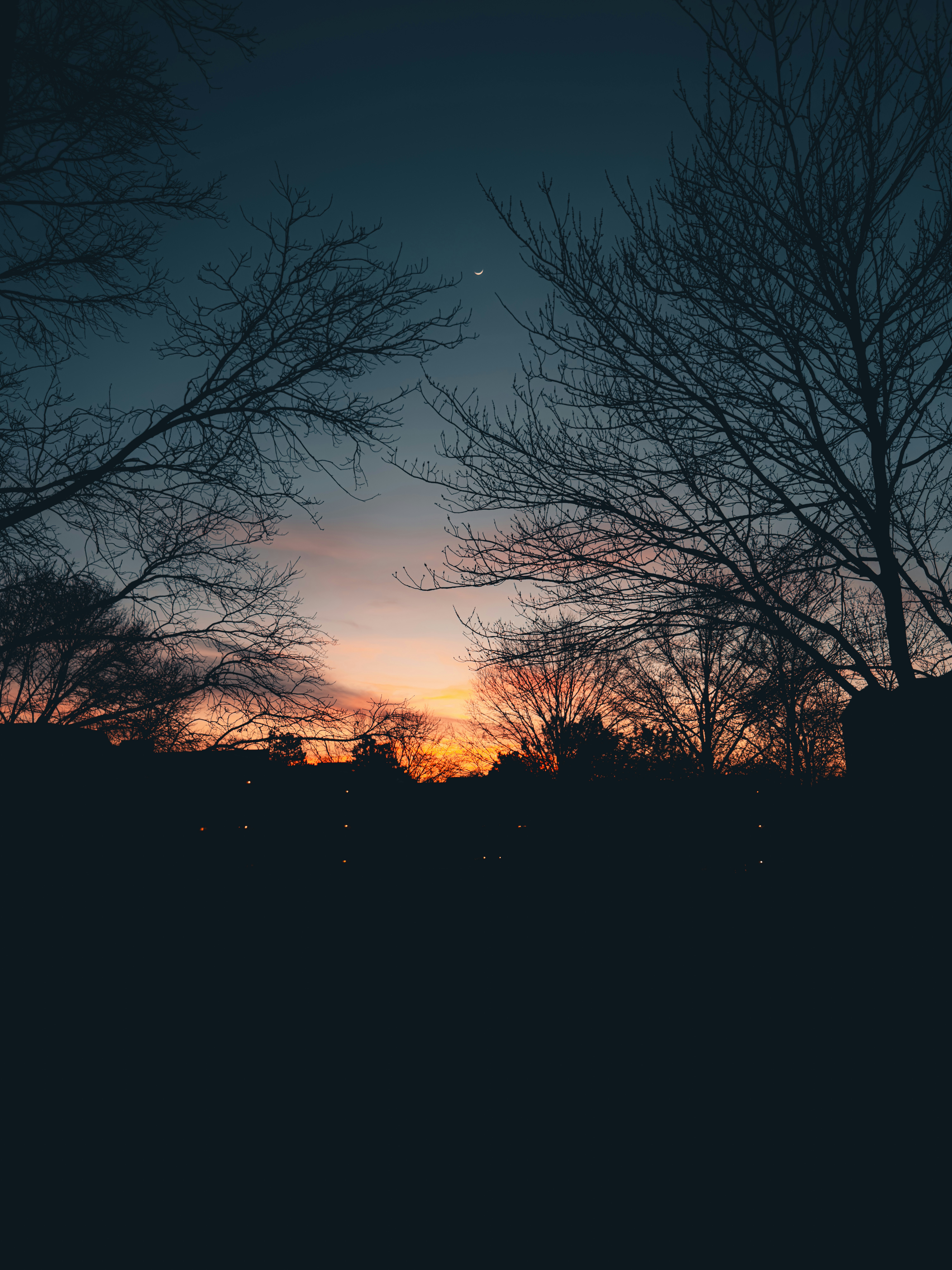 Photo by allenboguslavsky