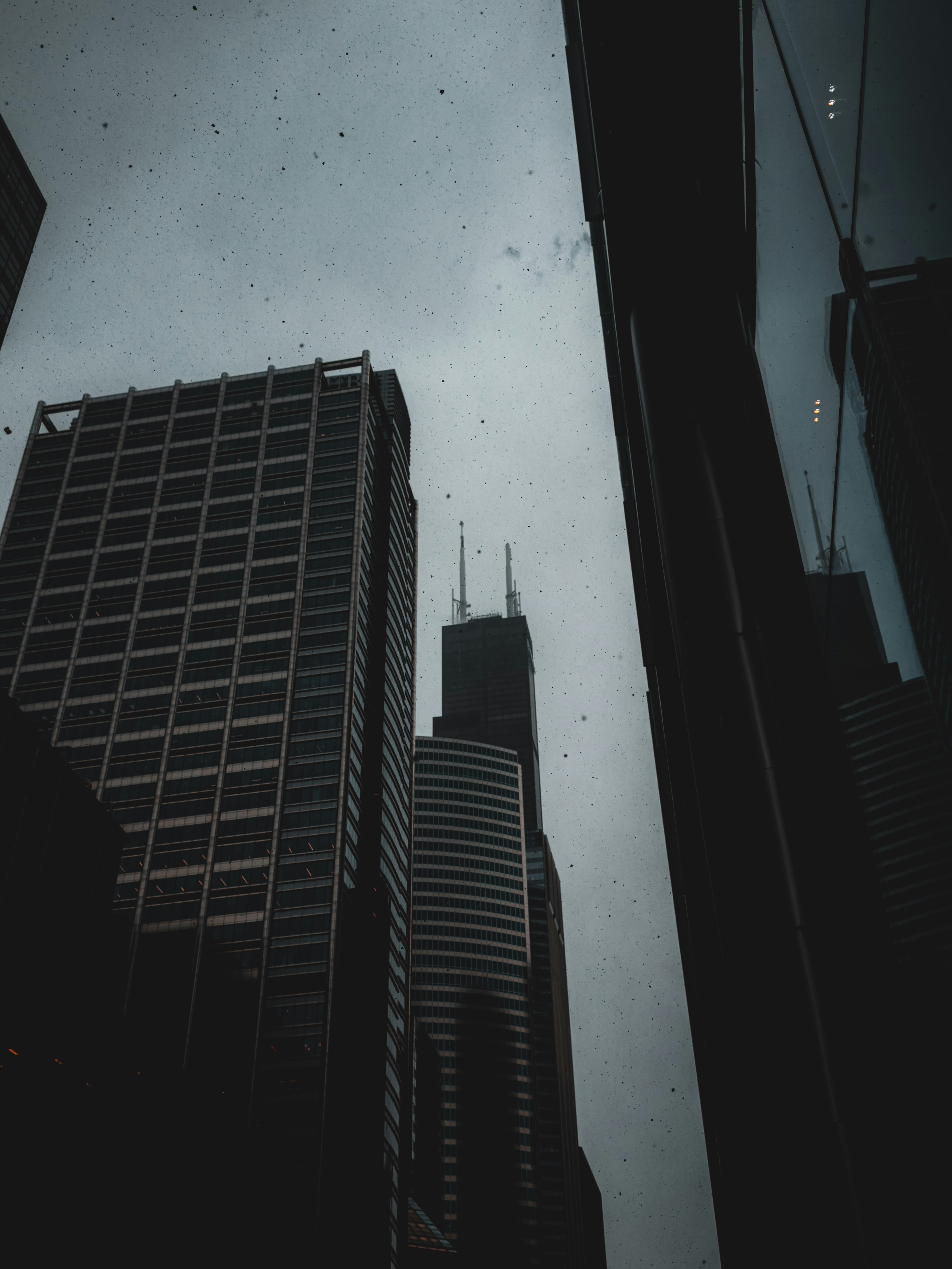 Photo by allenboguslavsky
