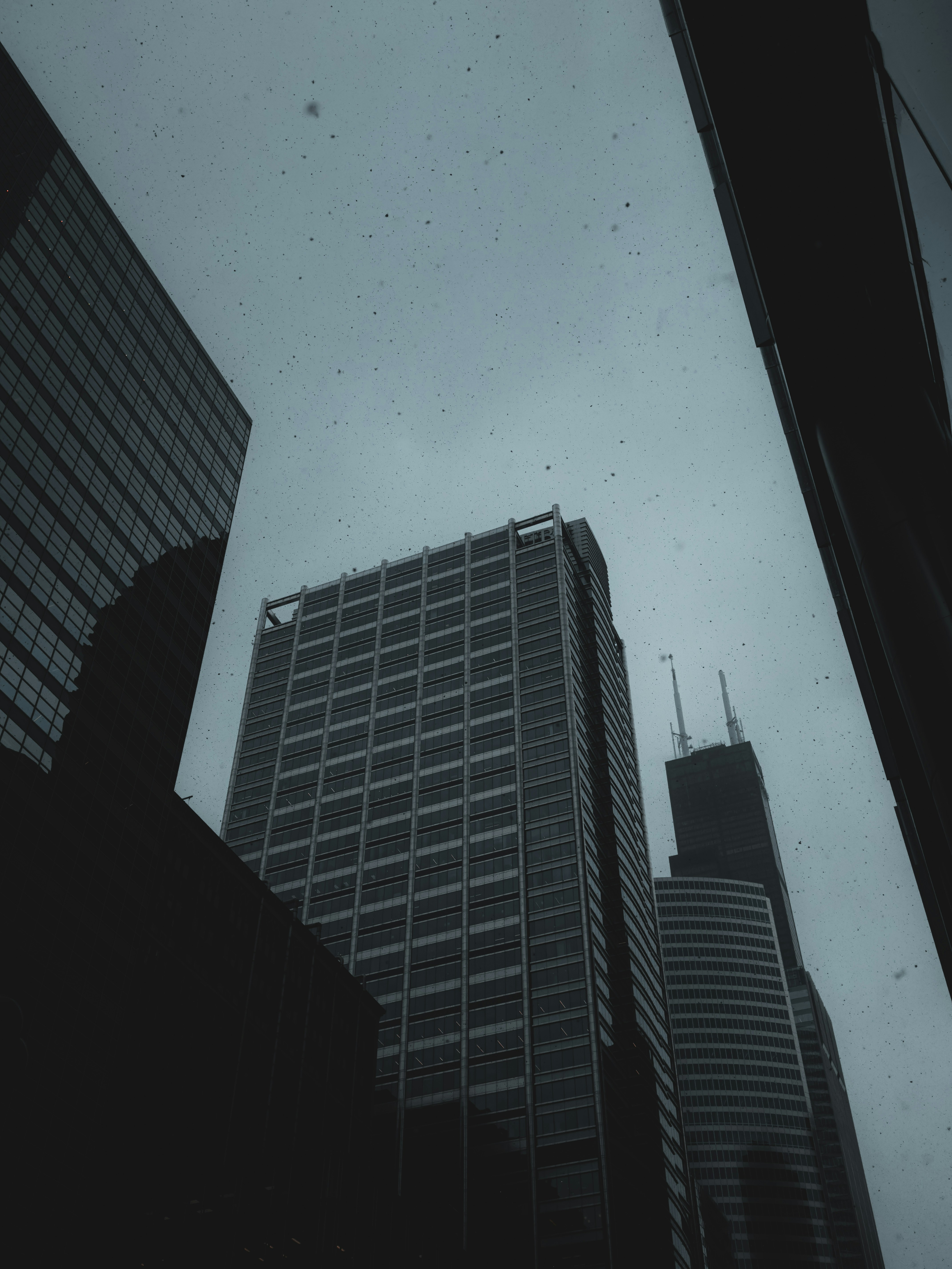 financial planning winter