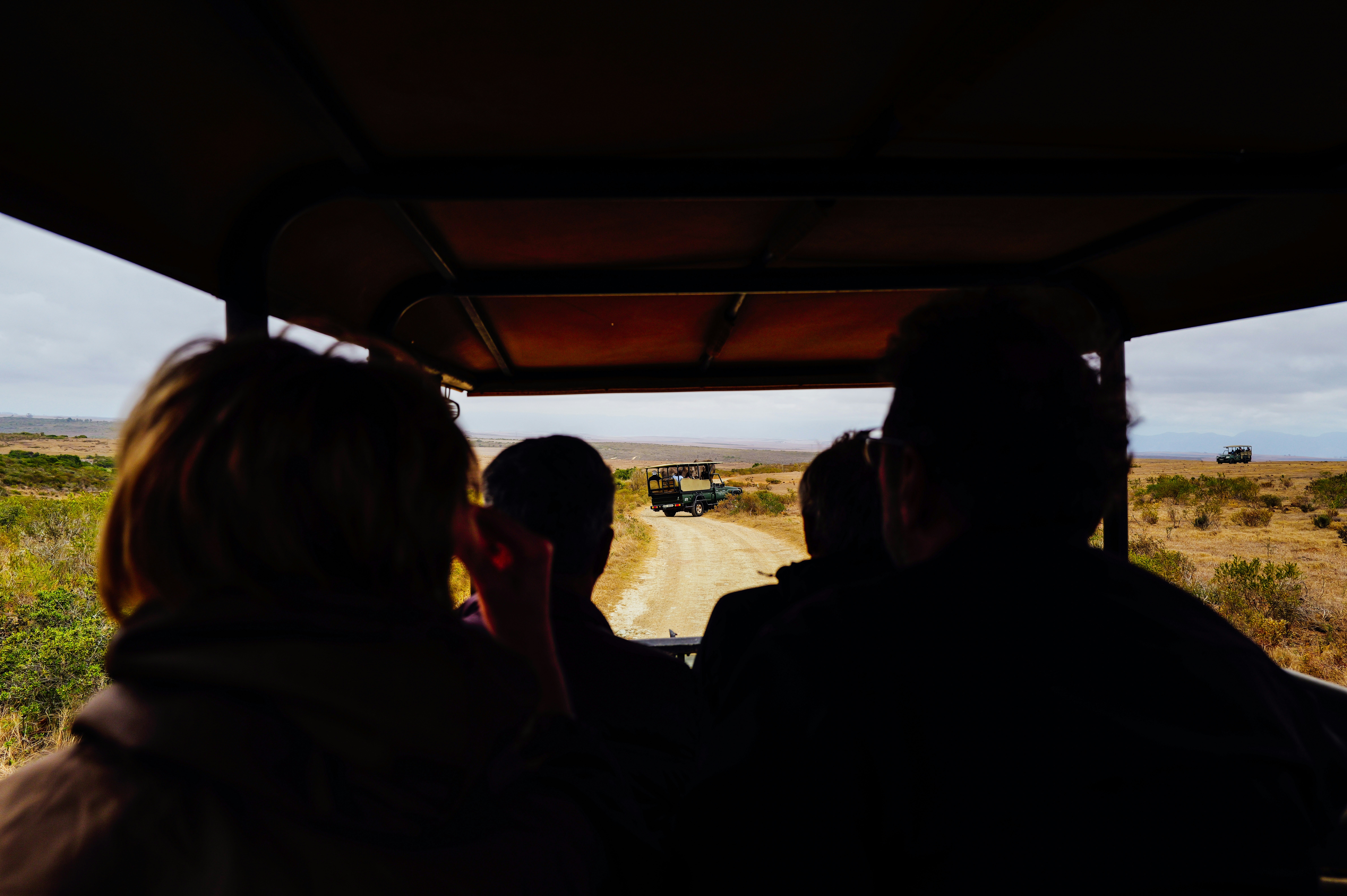 Family watches wild animals on a safari