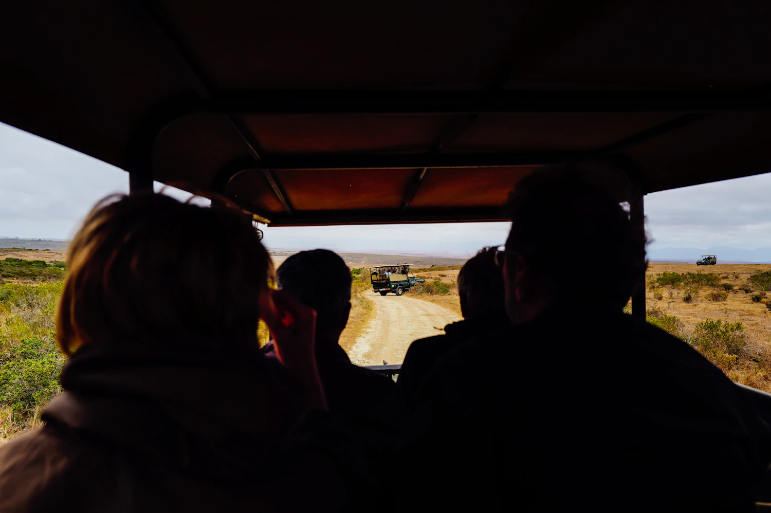 Safari travellers in East Africa