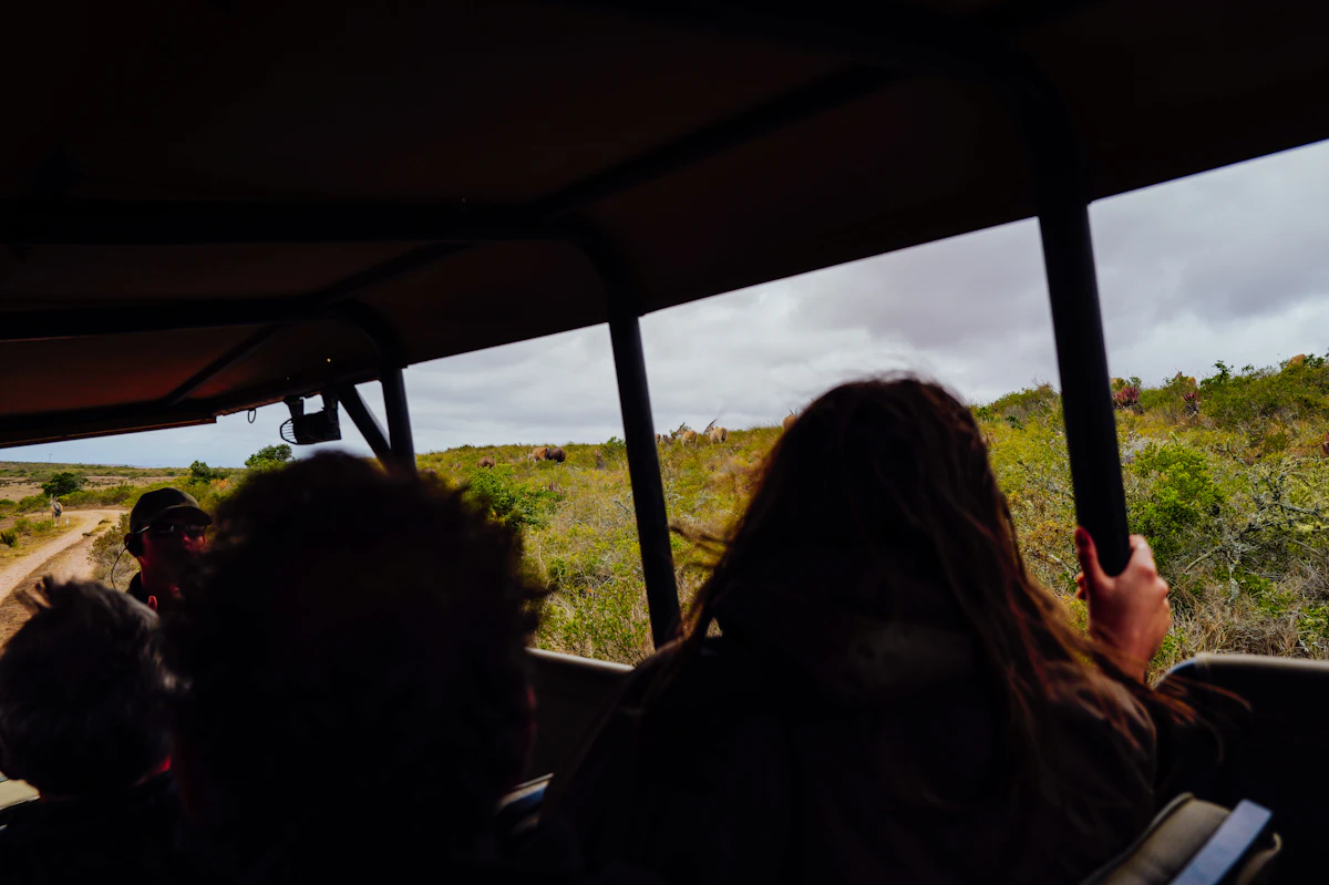 Travellers looking out from a safari vehicle during a game drive