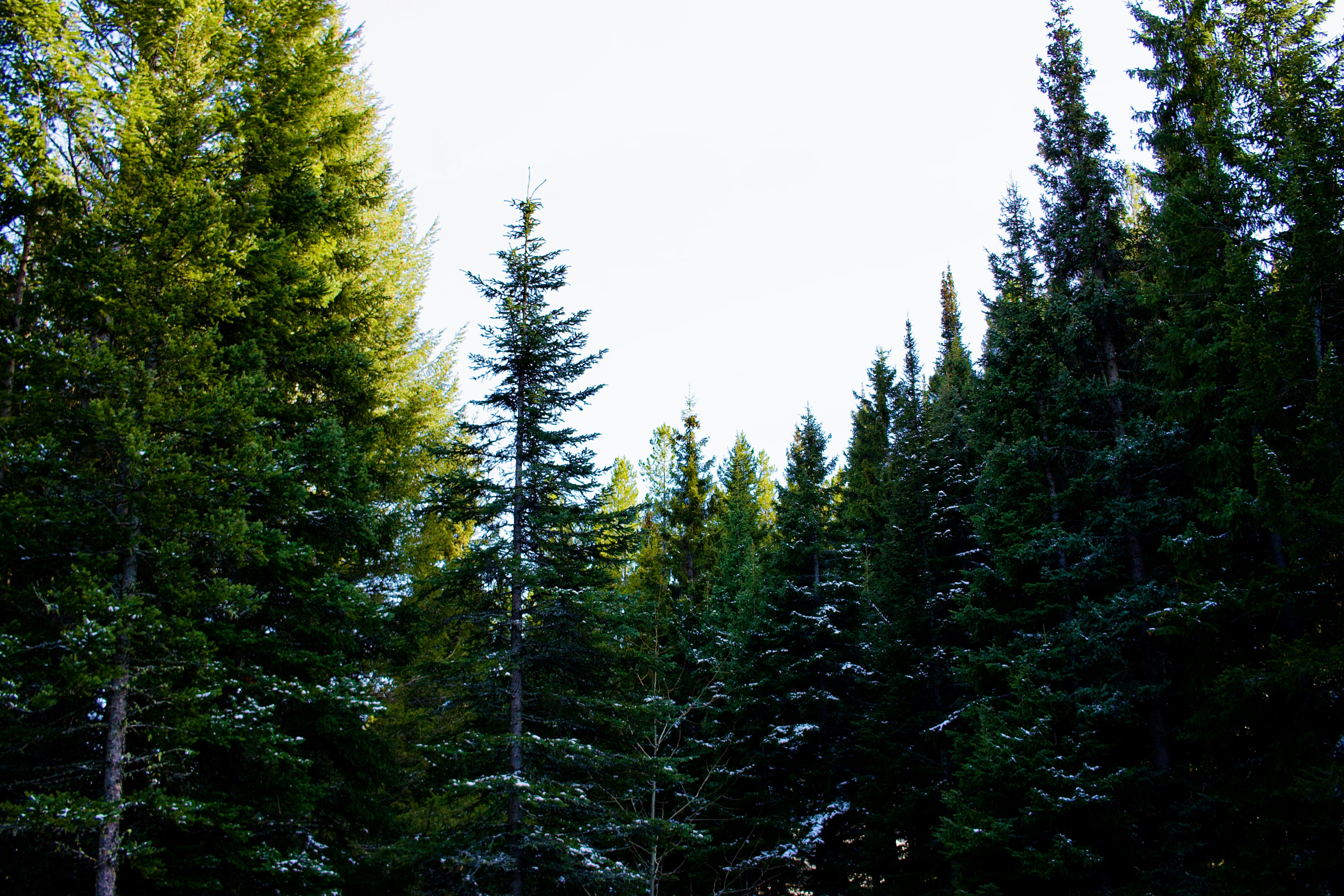 Photo by williamdmytrow