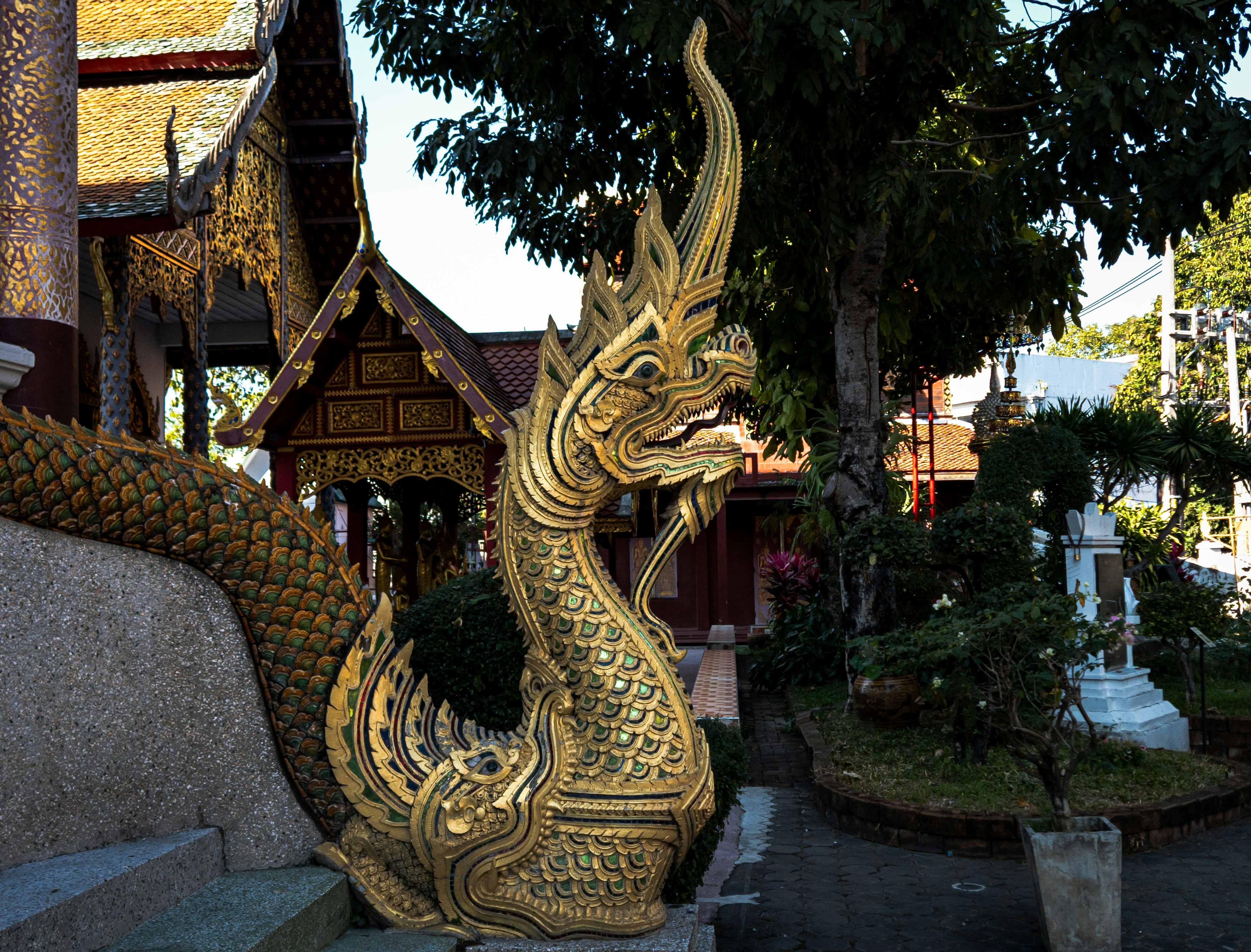 Photo by starichok1986