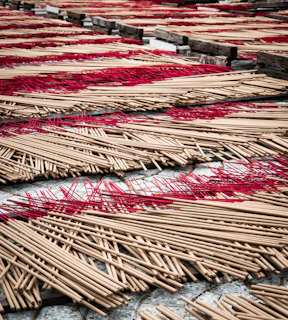 Incense sticks drying in rows outdoors rows with red threads.
