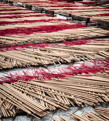 Incense sticks drying in rows outdoors rows with red threads.