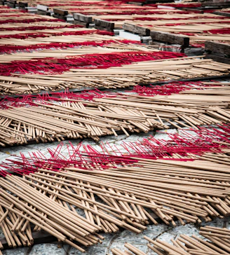 Incense sticks drying in rows outdoors rows with red threads.