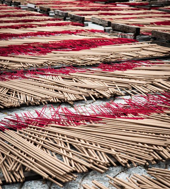 Incense sticks drying in rows outdoors rows with red threads.