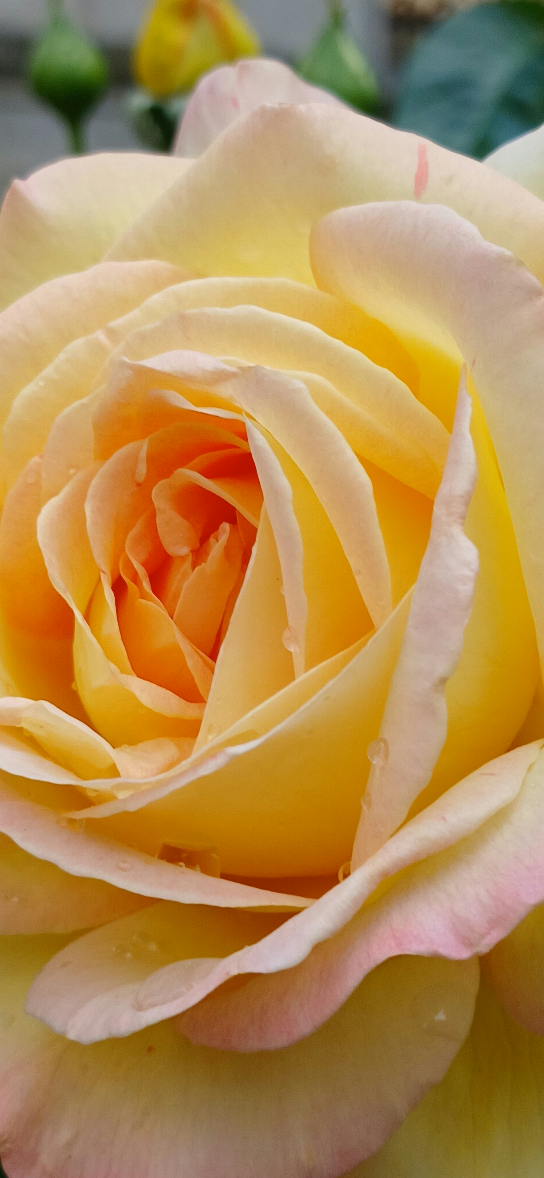 Photo by nastik_svitoch