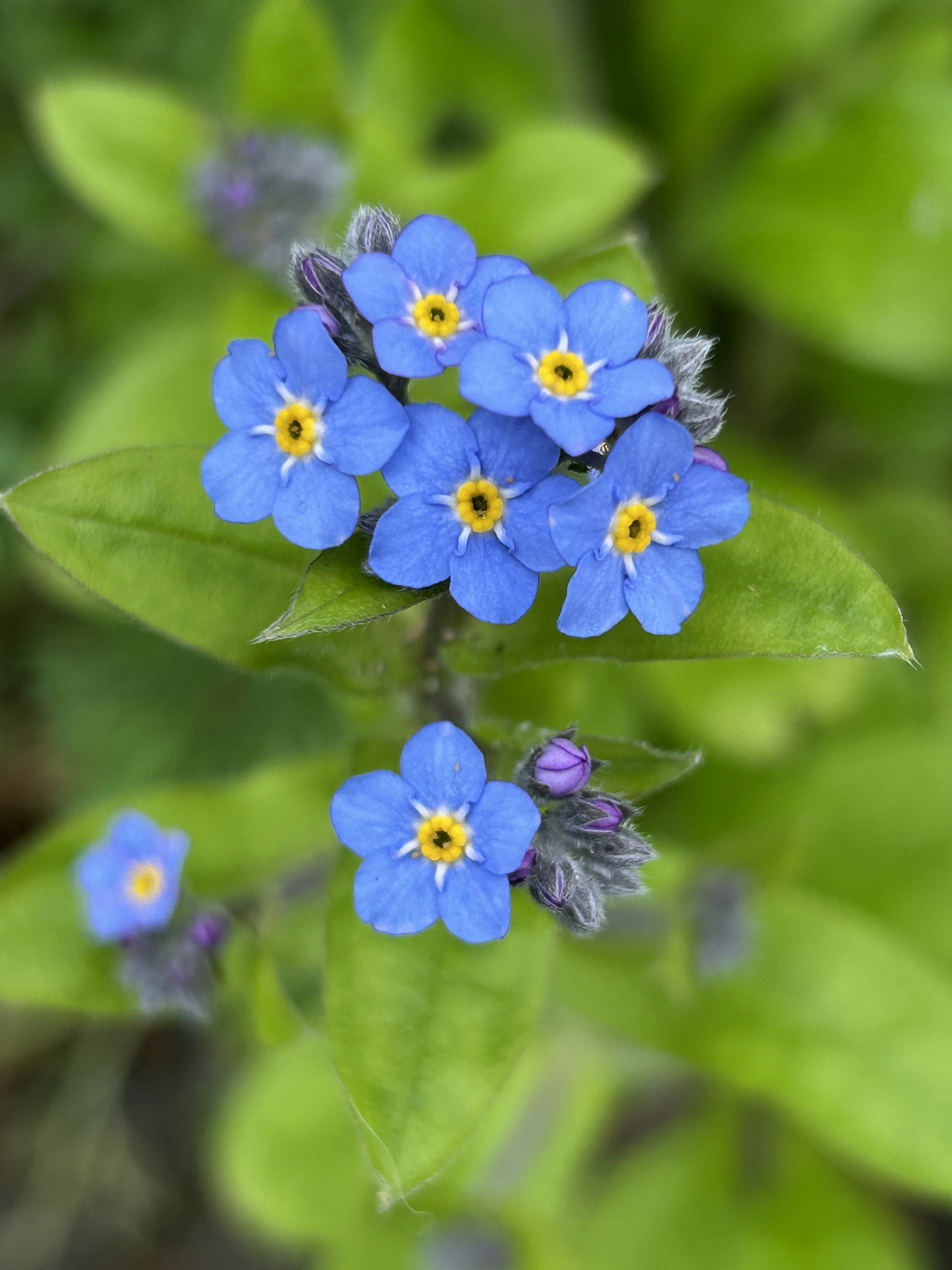 Photo by raynemadison