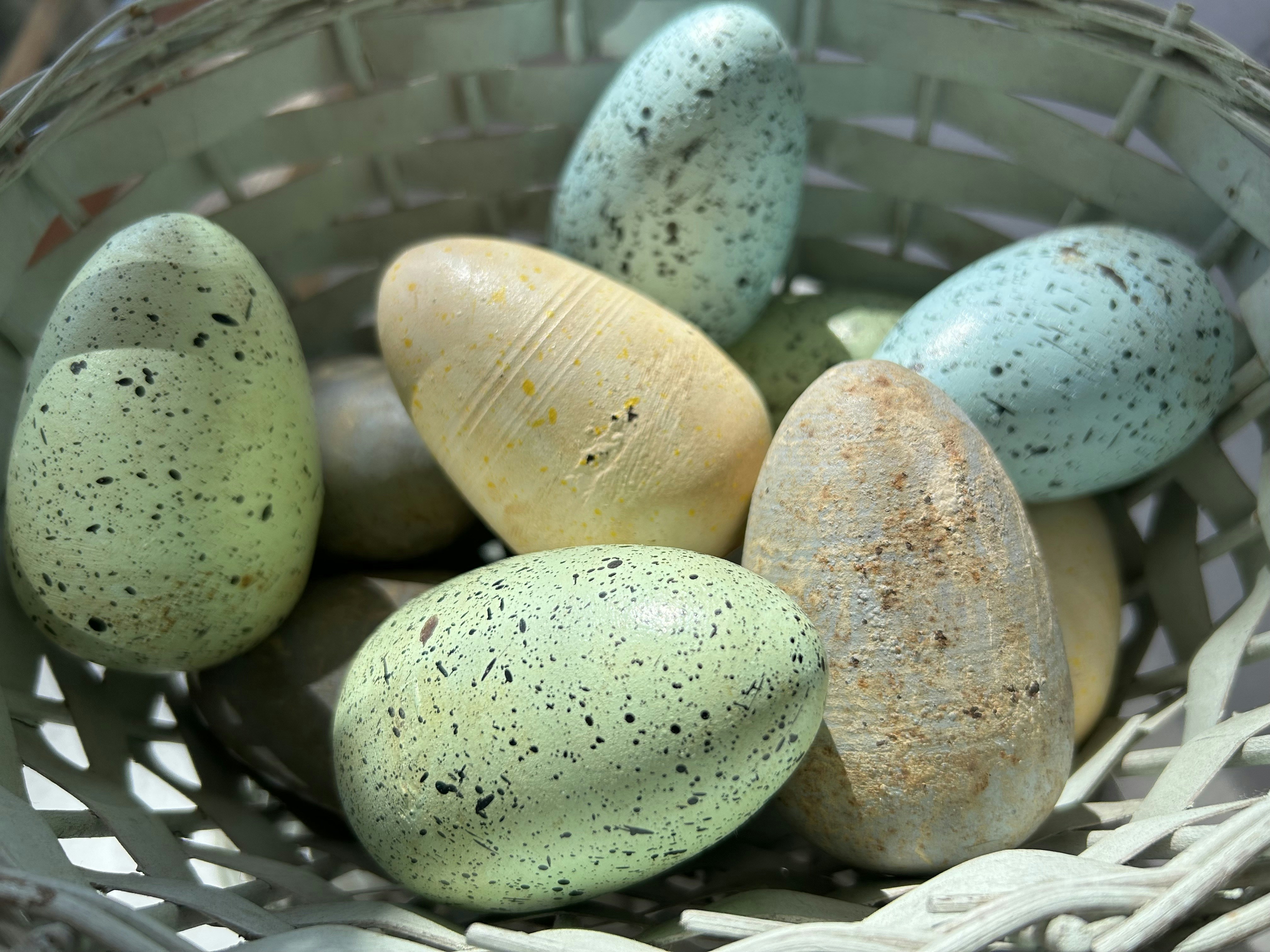 Photo by raynemadison