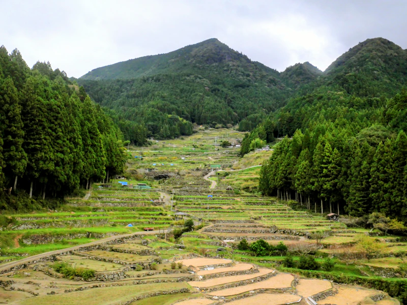 茶臼山高原道路〜茶臼山高原