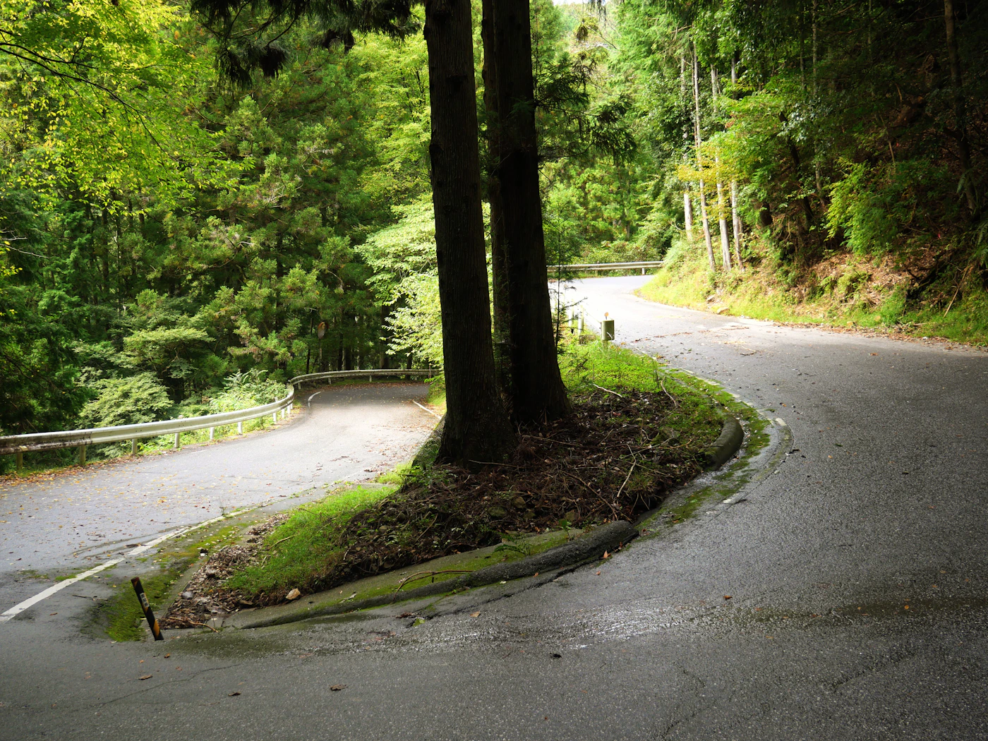 Forststraße Nordjapan, erste Etappe