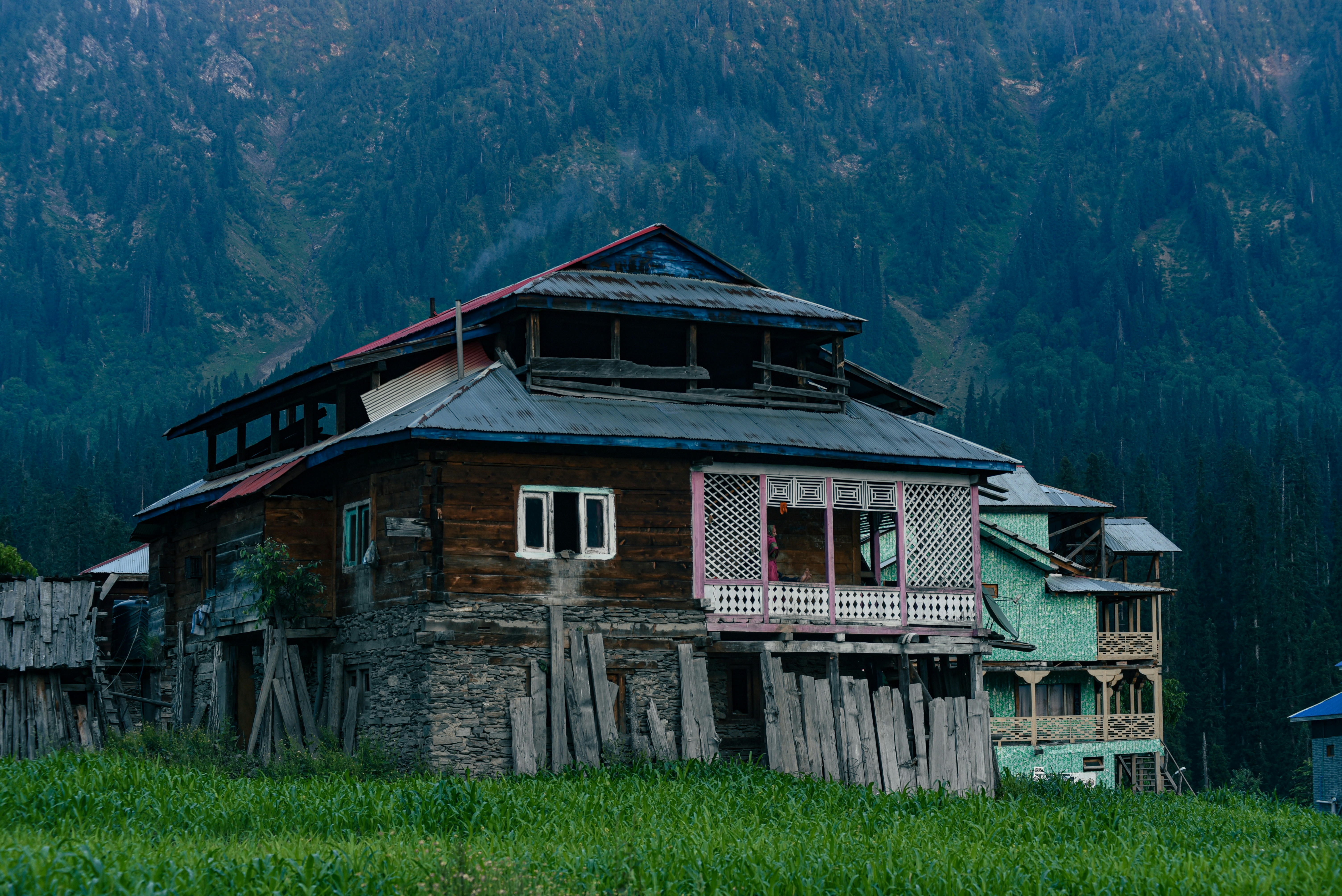 Photo by umarhafeez