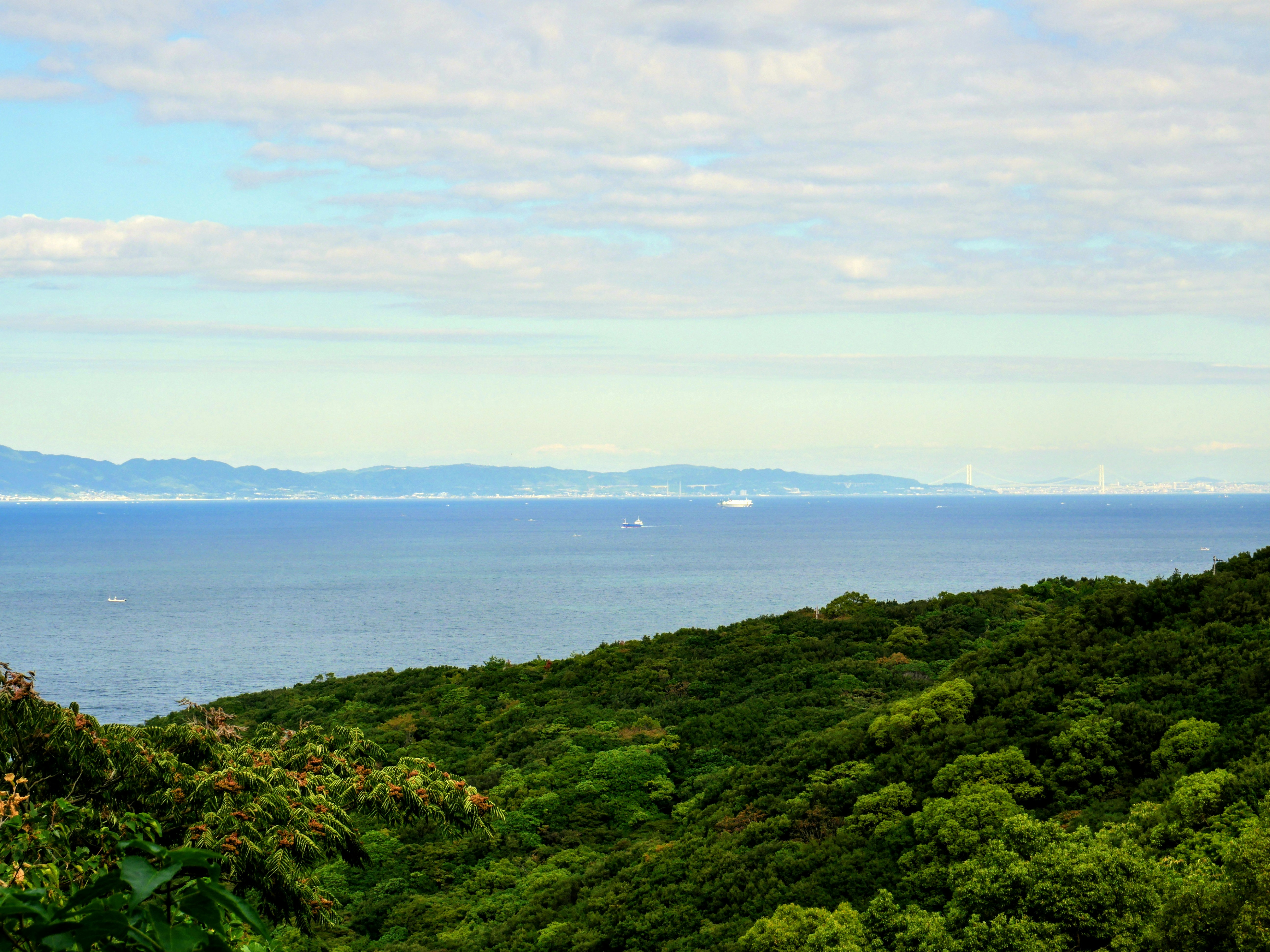 Kii Peninsula, Japan - A breathtaking coastal panorama from the former Okawa Park (Okawa Yuen) site in Wakayama, Japan. The image looks north across the shimmering blue waters of Osaka Bay toward the distant, hazy skyline of Osaka city and the surrounding metropolitan area on the horizon. In the foreground, lush, densely forested hills of the Kii Peninsula descend toward the sea, showcasing the vibrant green canopy of the Japanese countryside. Small ships are visible on the water, highlighting the bay's importance as a major maritime corridor. This scene captures the beautiful intersection of Japan's rugged natural