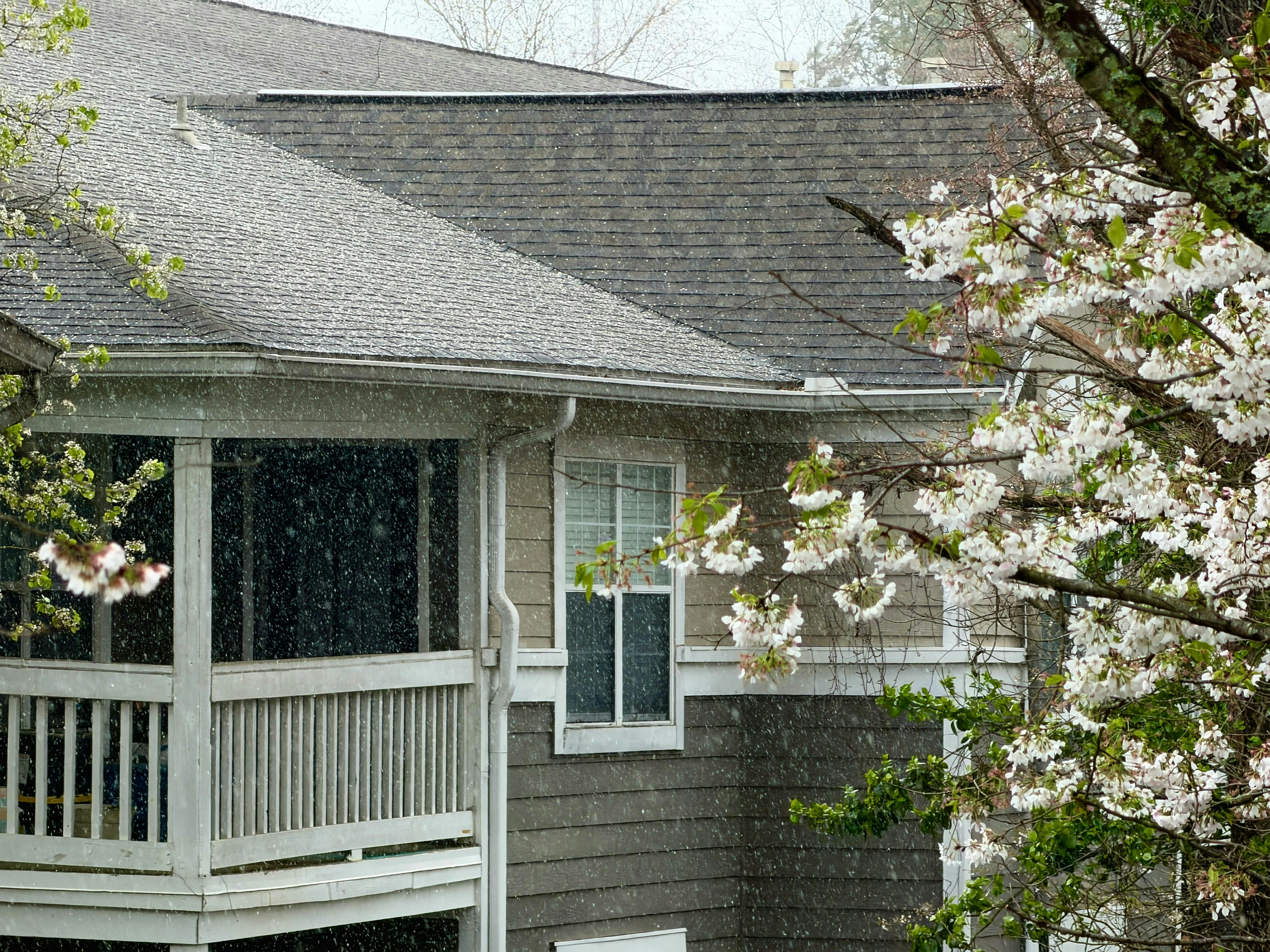 weather resistant roof