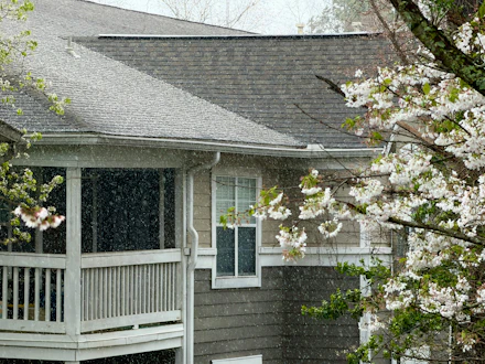 A grey-sided house with a shingle roof in the rain