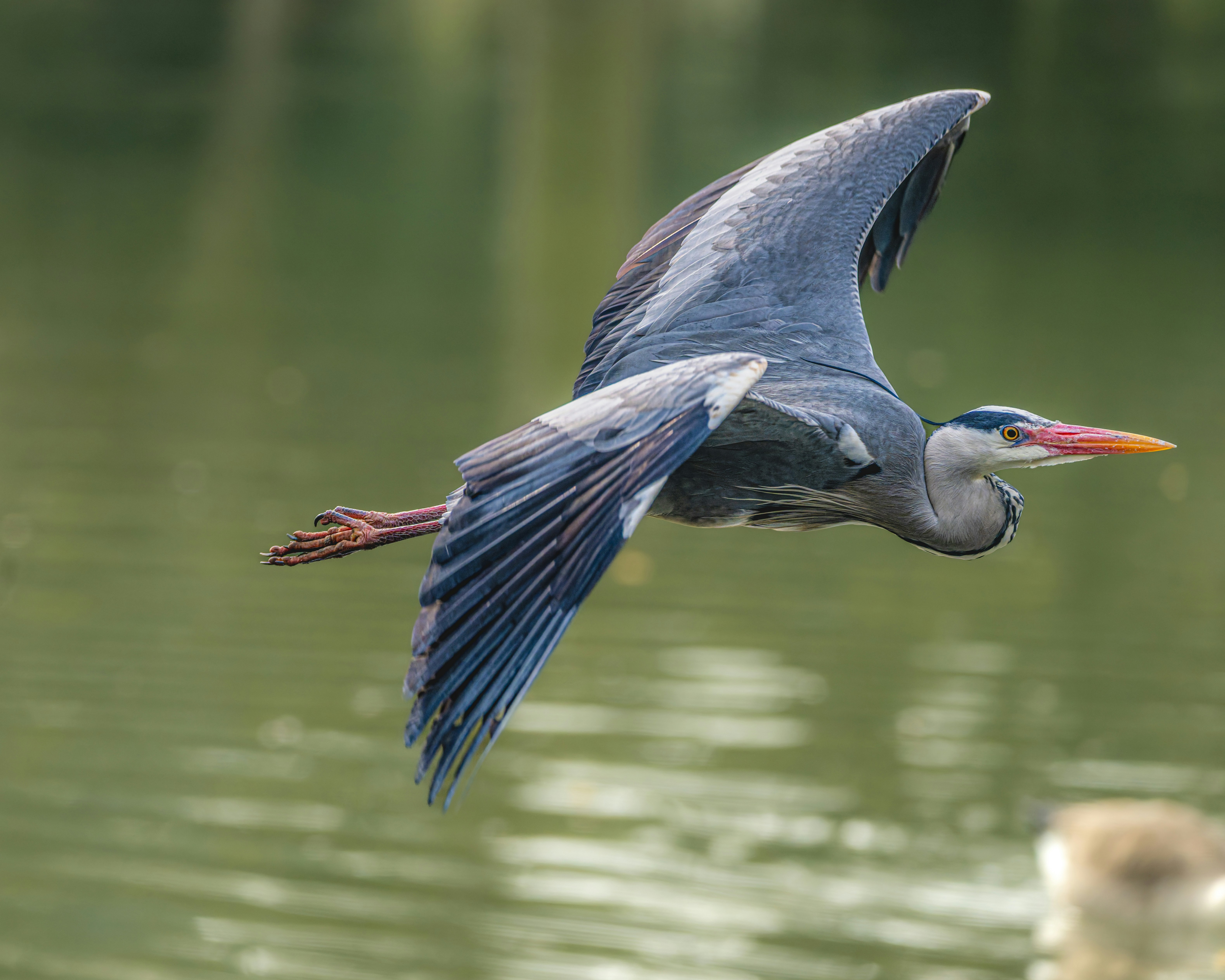 Photo by siegfriedpoepperl