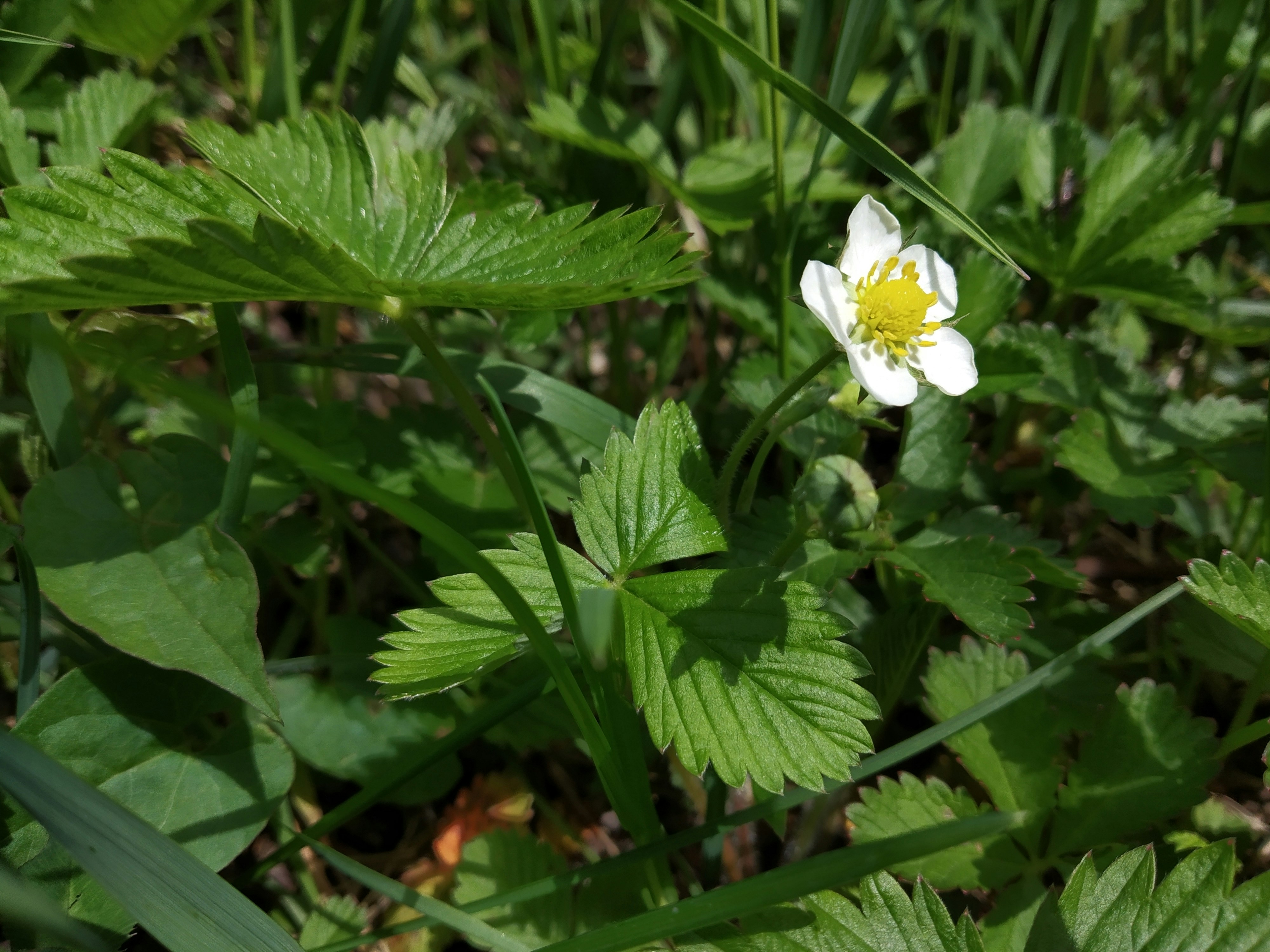 Photo by zulfugarkarimov