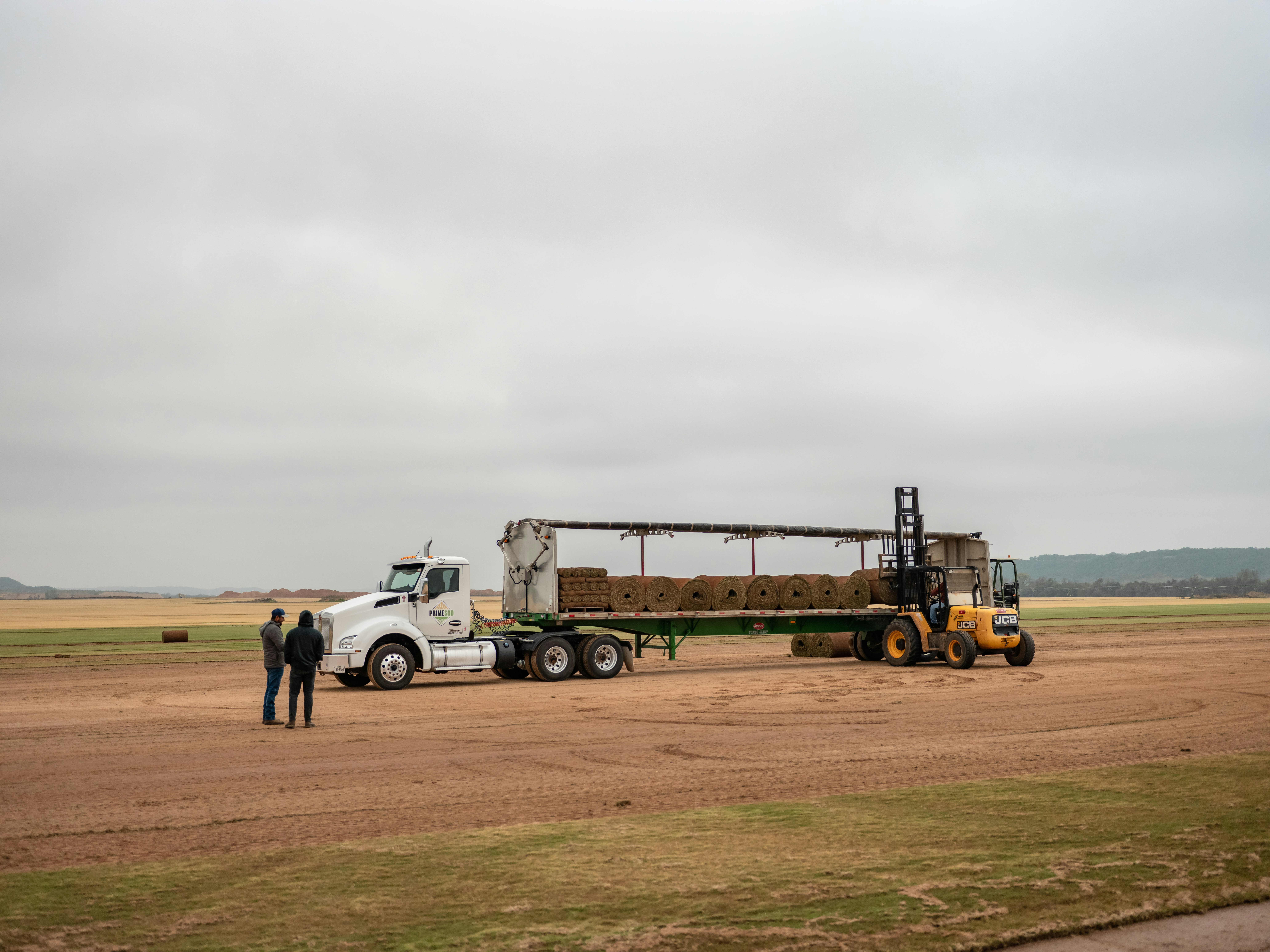 professional lawn care