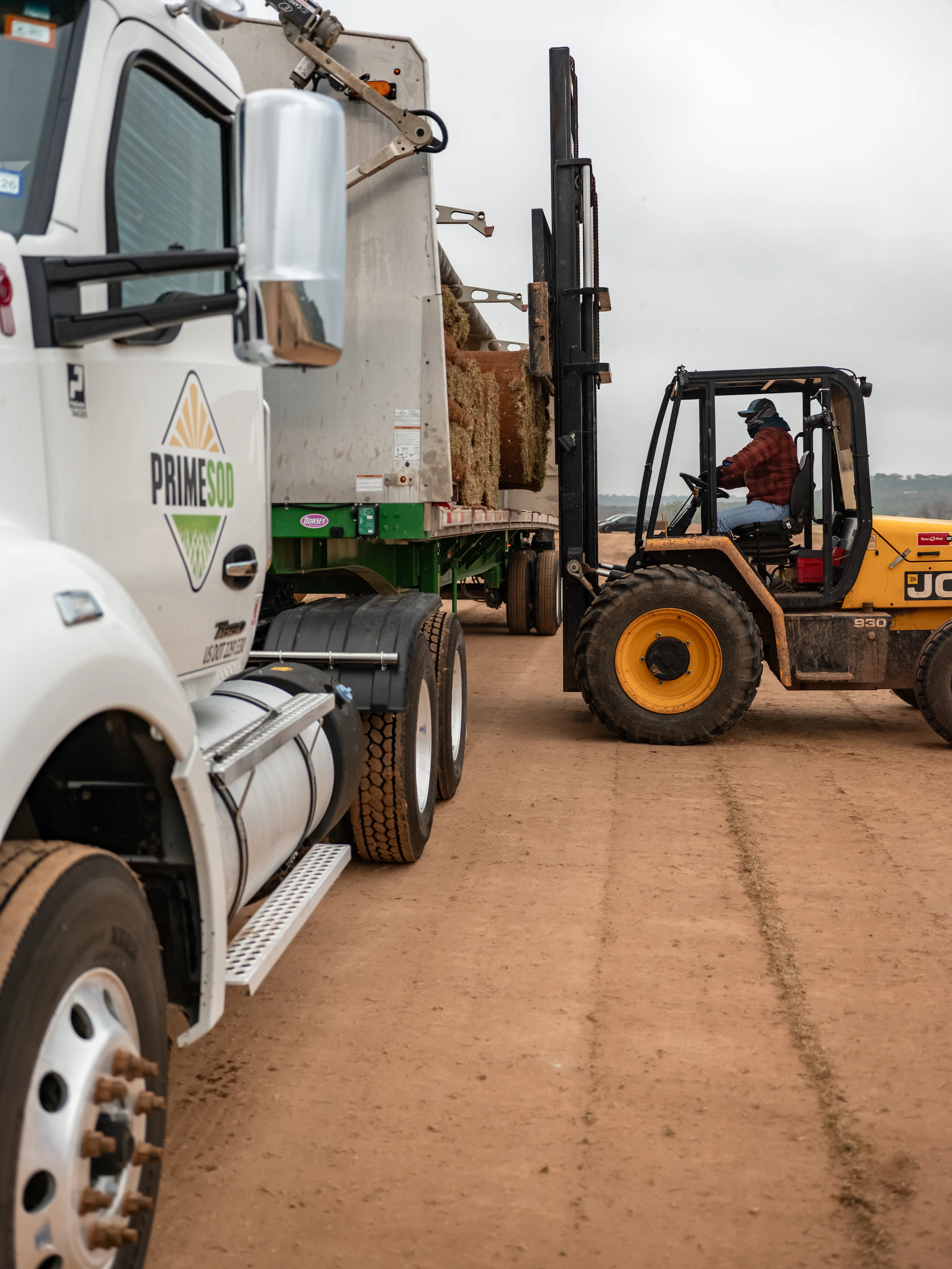 Forklift loading bales onto a semi-truck