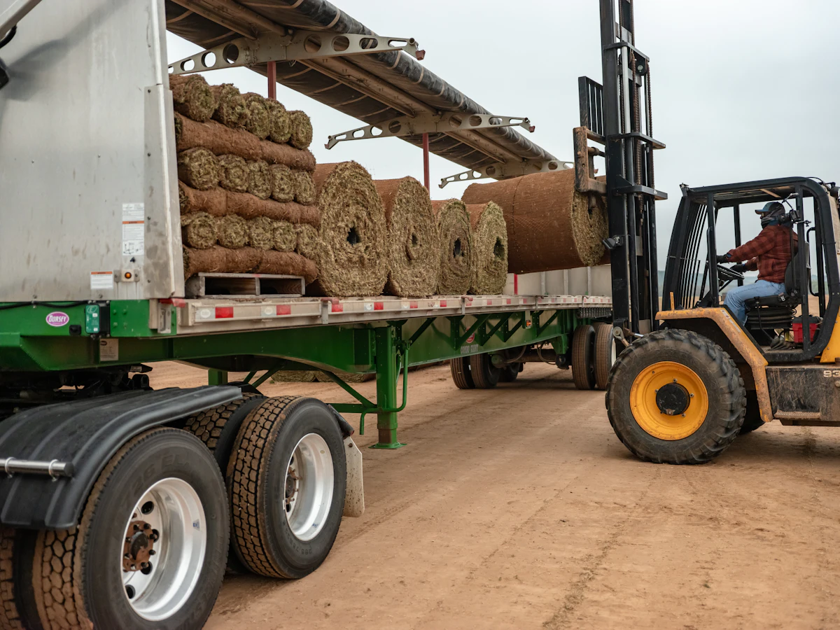 Fresh sod rolls prepared for a lawn installation project