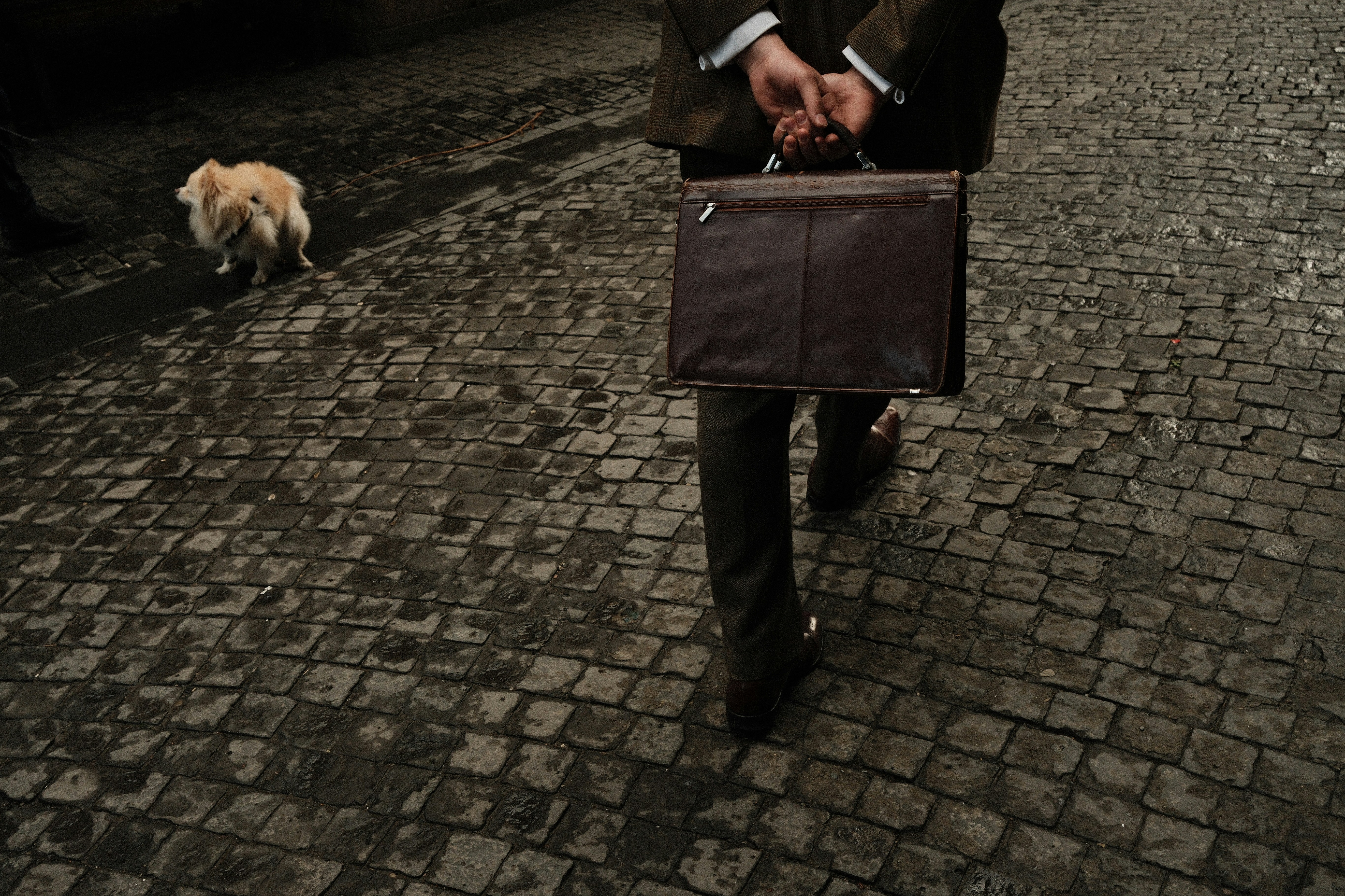 Man walks dog on cobblestone street
