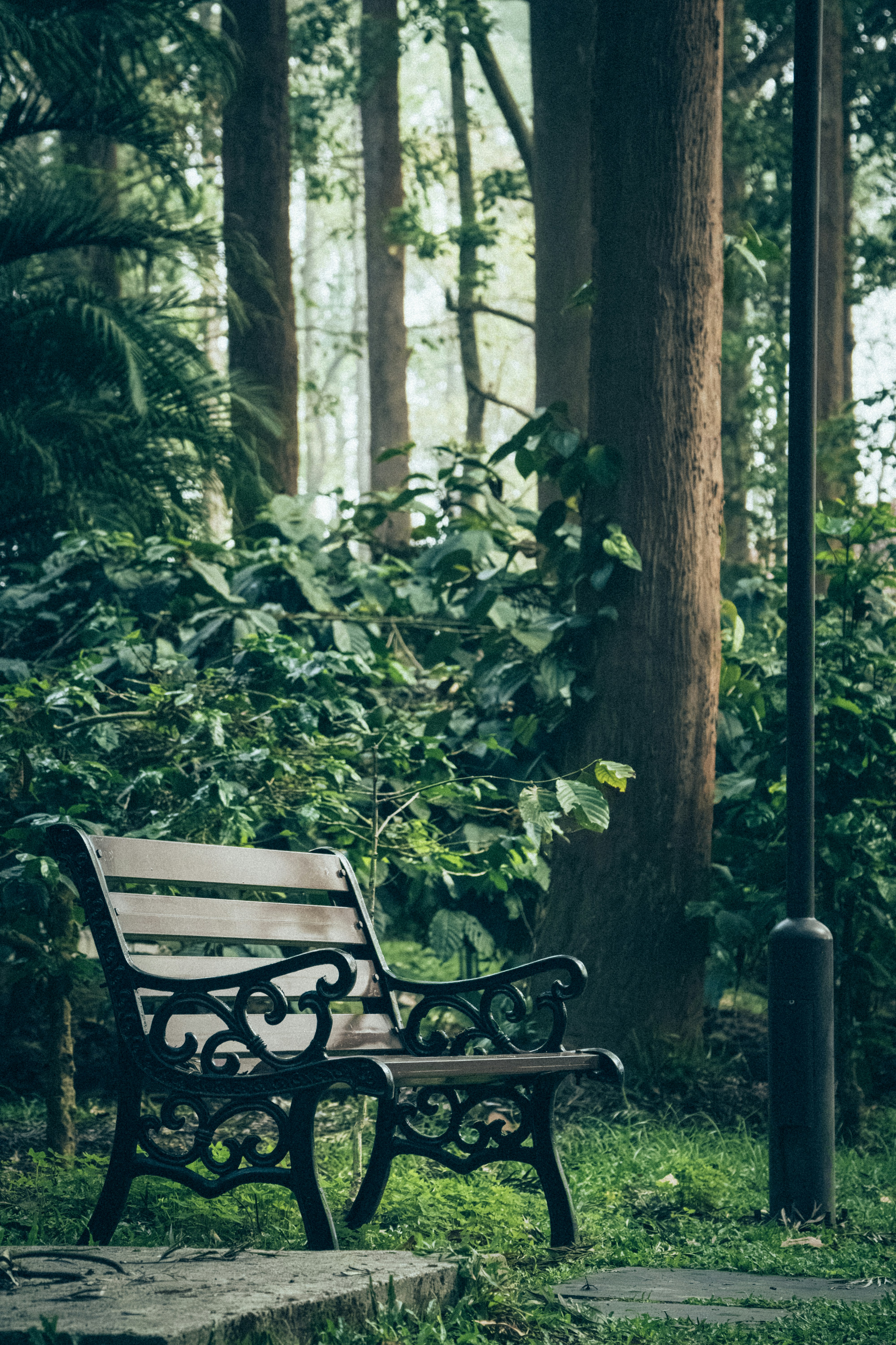 Photo by sameer_srivastava