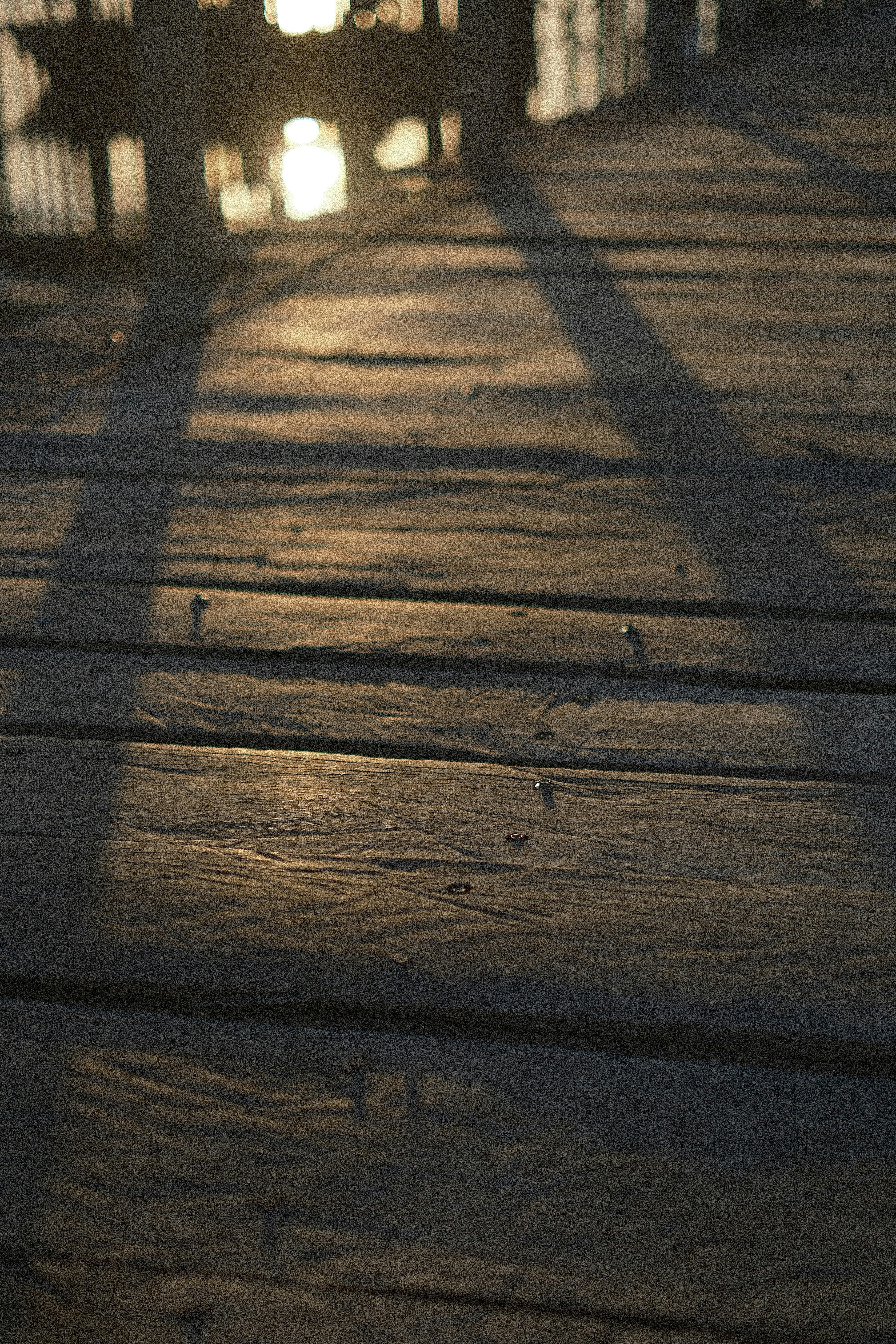 Photo by subspace_stills