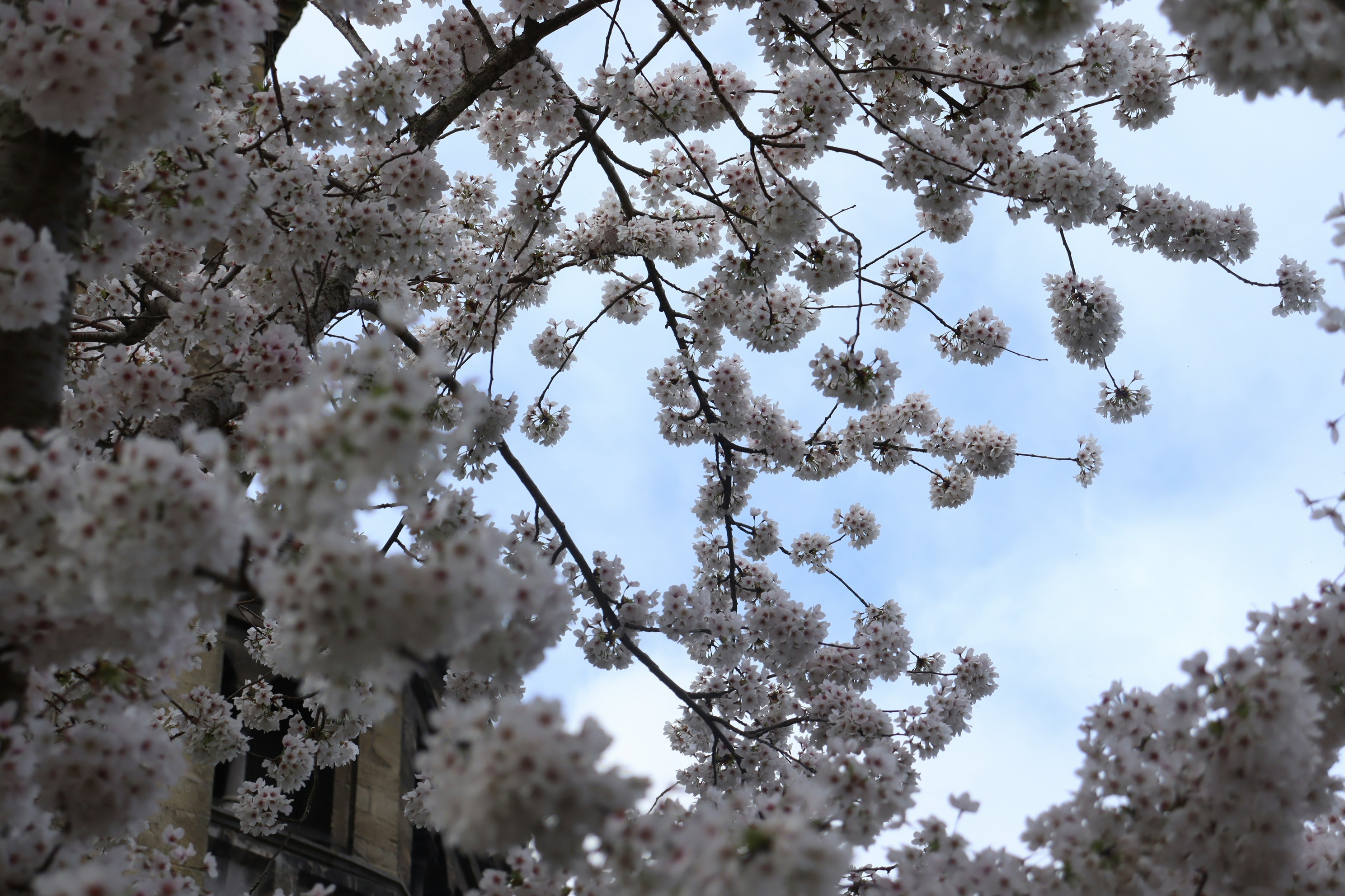 Photo by moonlightendearer