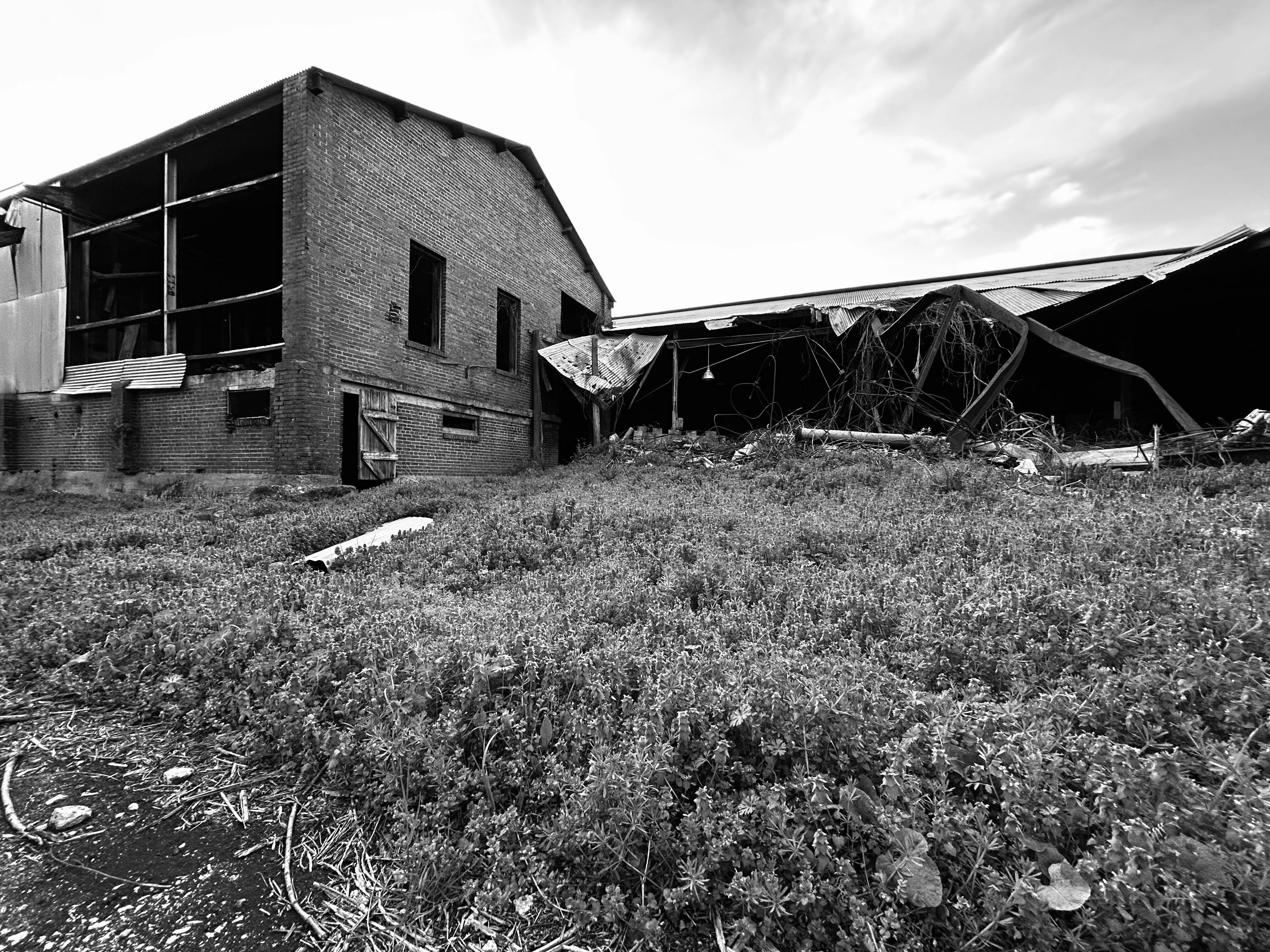 Photo by kauffmansadventures