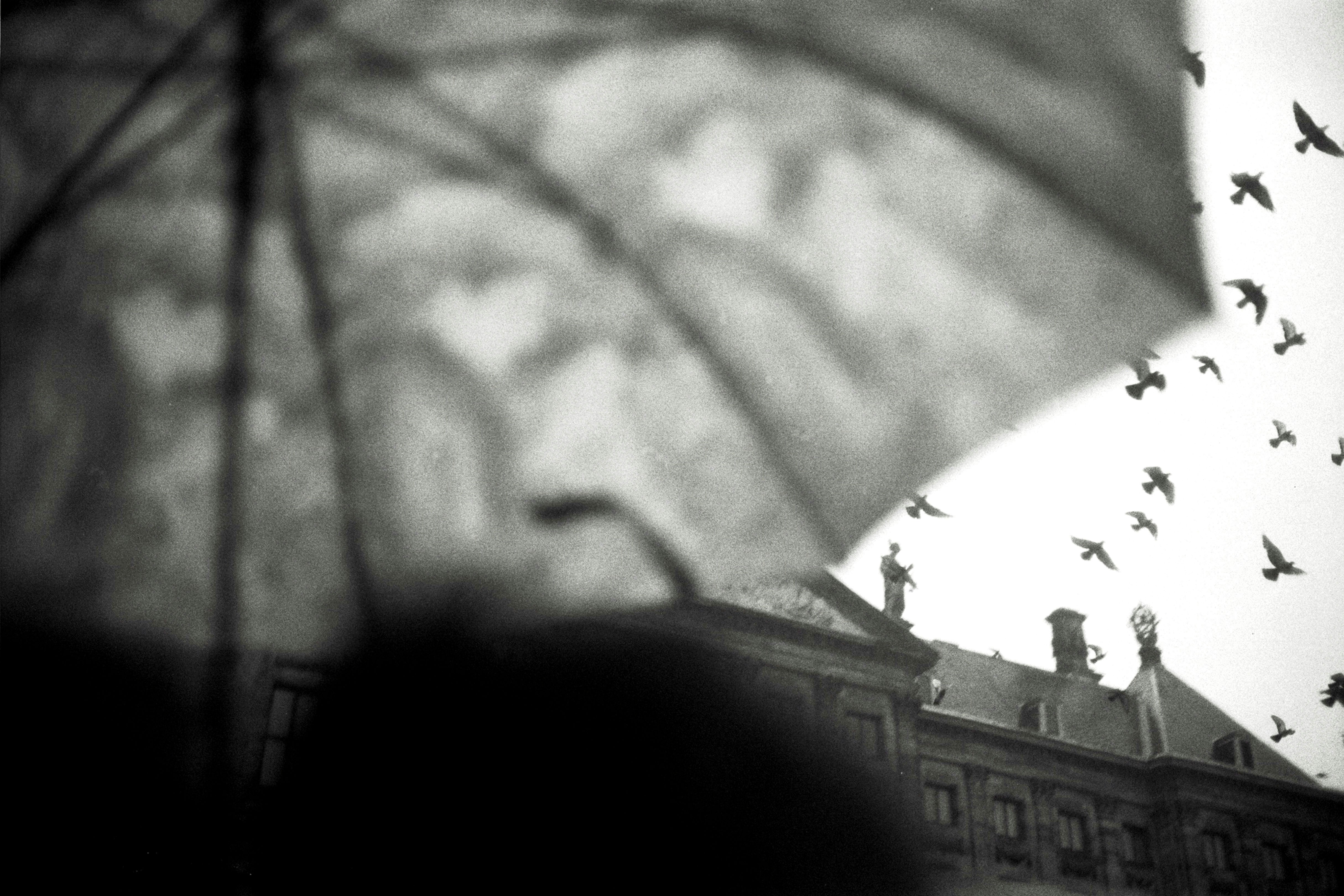 케이뱅크, 신저가 늪 탈출 시도: 과연 가능할까?